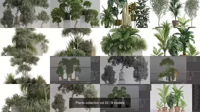 Plants collection vol 22