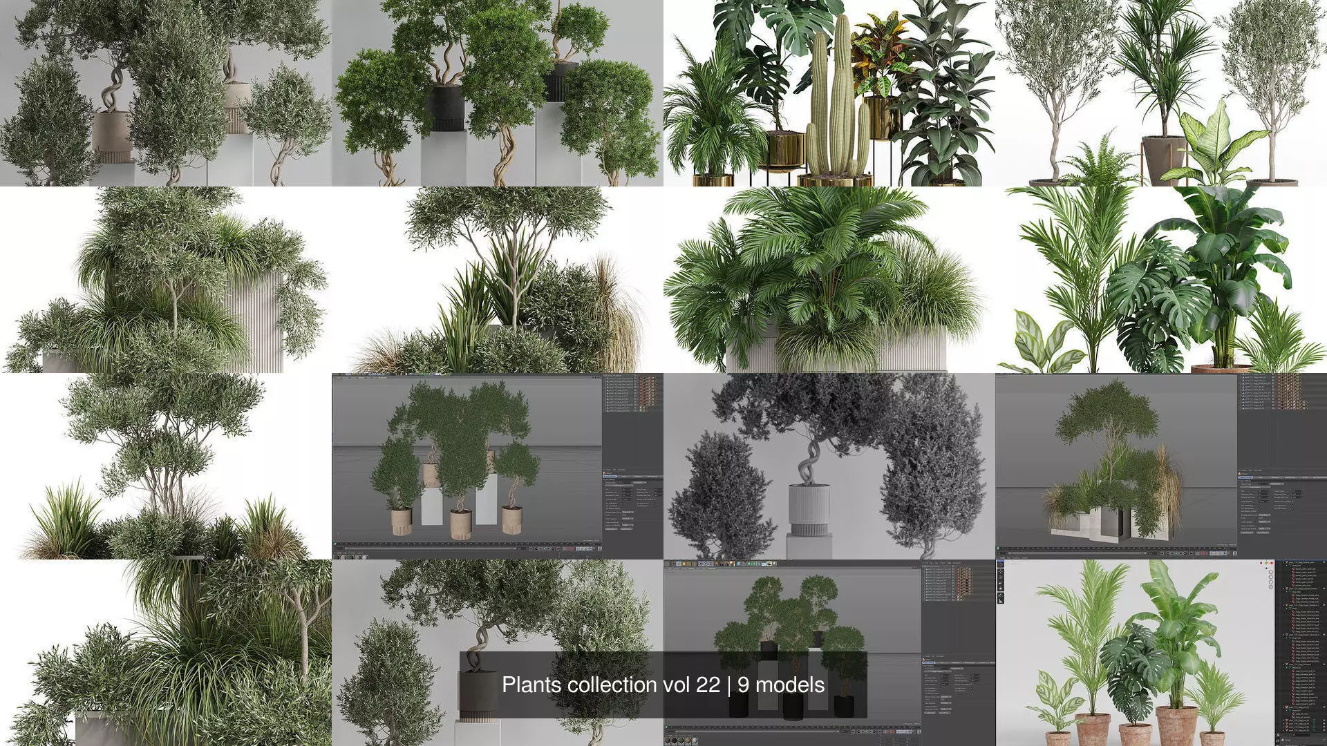 Plants collection vol 22 _1