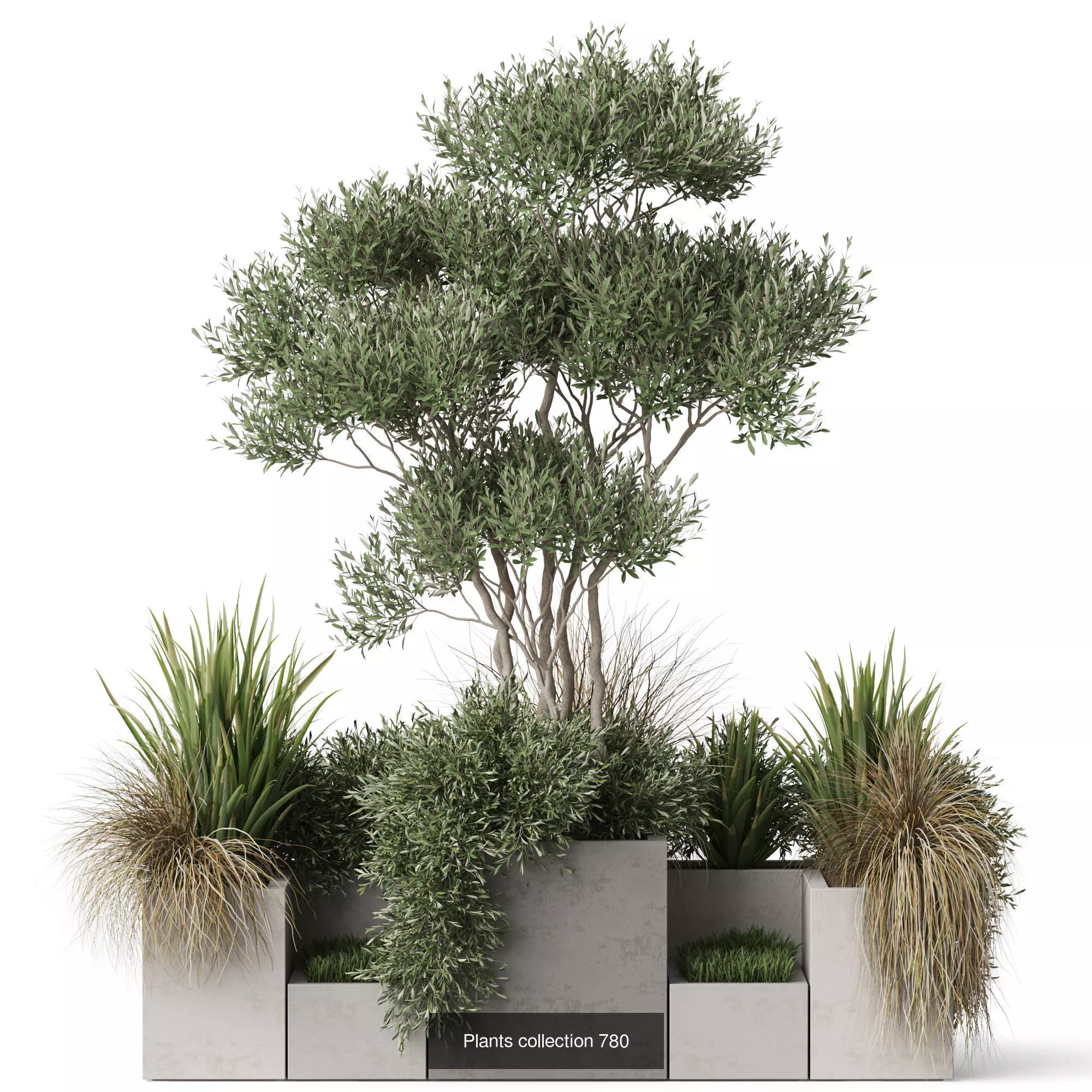 Plants collection vol 22 _10