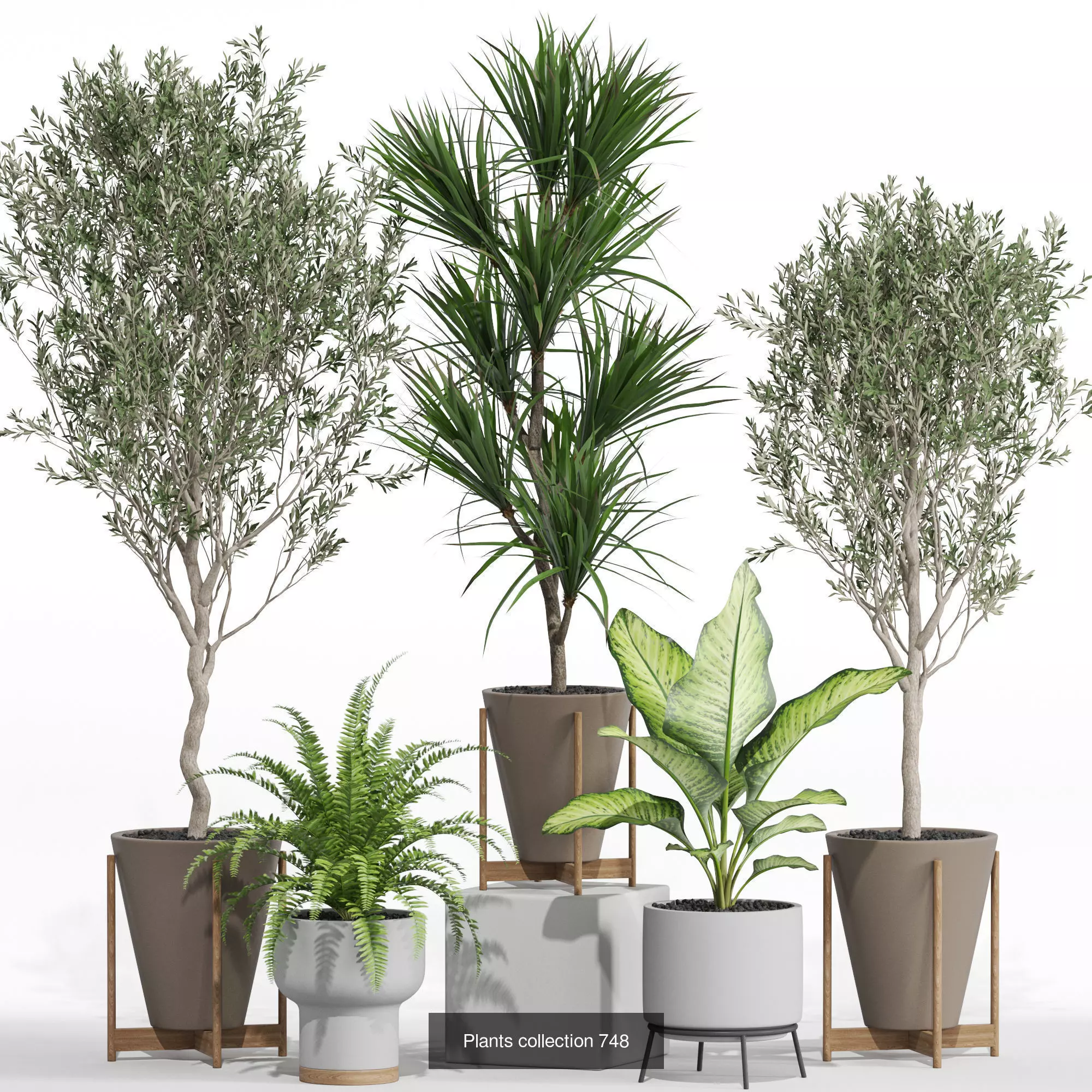 Plants collection vol 22 _5