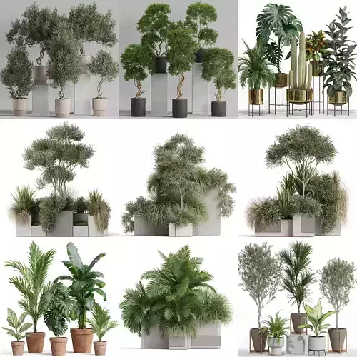Plants collection vol 22 Plants collection vol 22