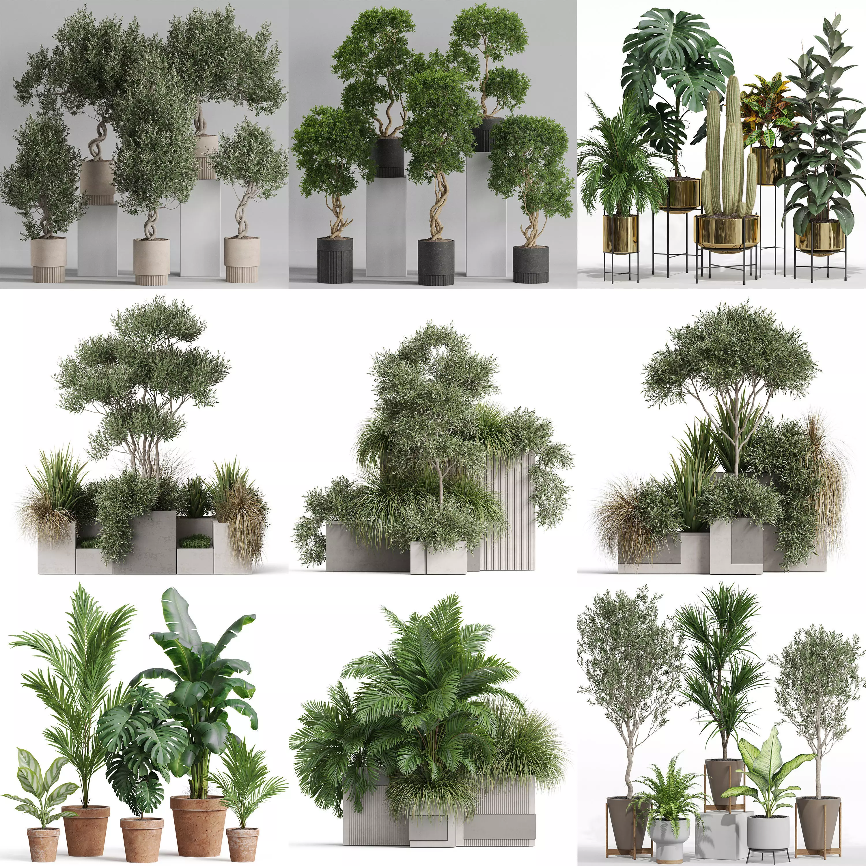 Plants collection vol 22 _0