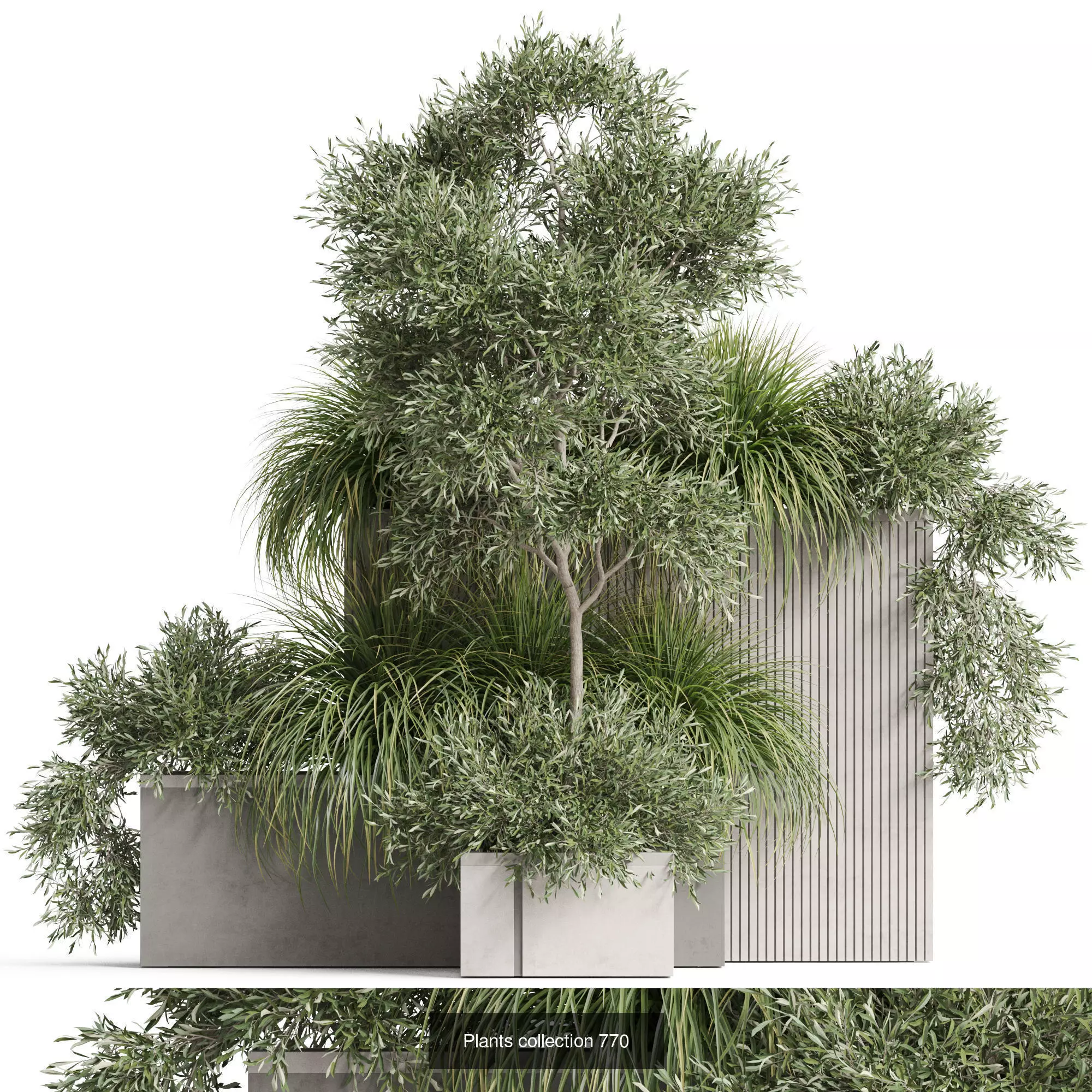 Plants collection vol 22 _6