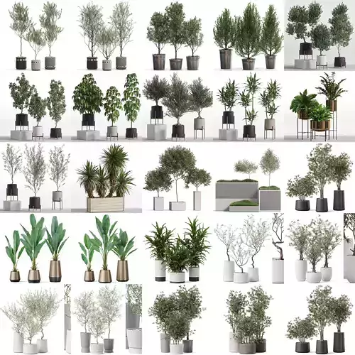 Plants collection vol 23 