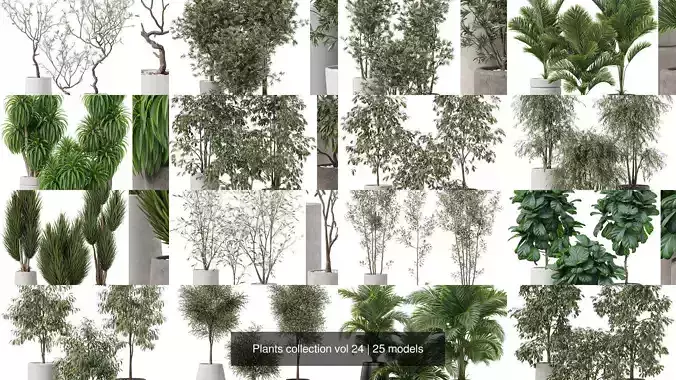 Plants collection vol 24