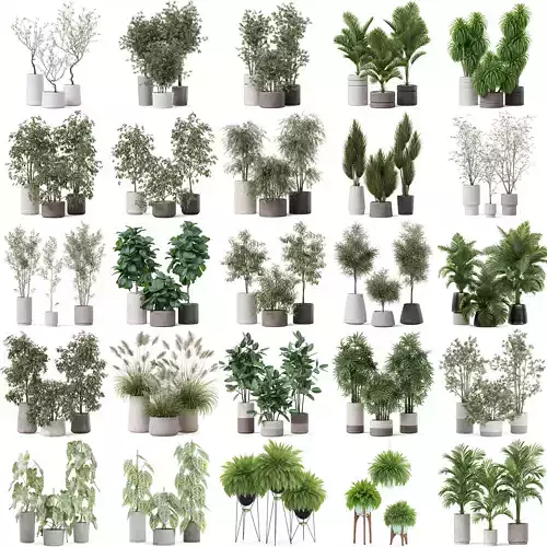 Plants collection vol 24 