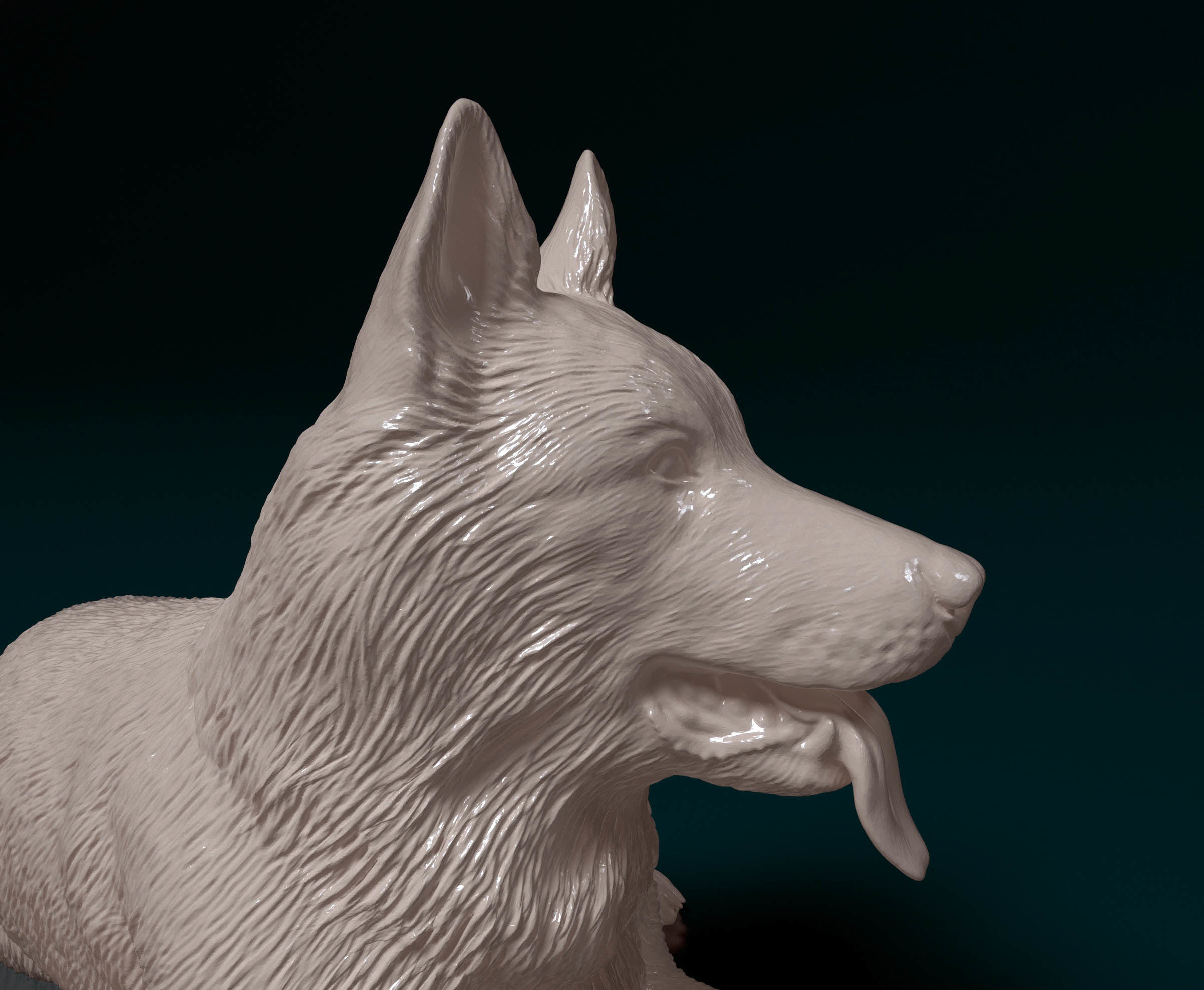 German shepherd 5 3D print model_5