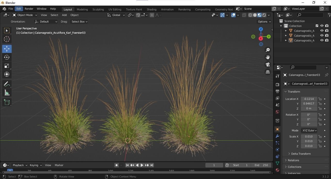 Plants Calamagrostis Acutiflora Karl Foerster 3D model_6