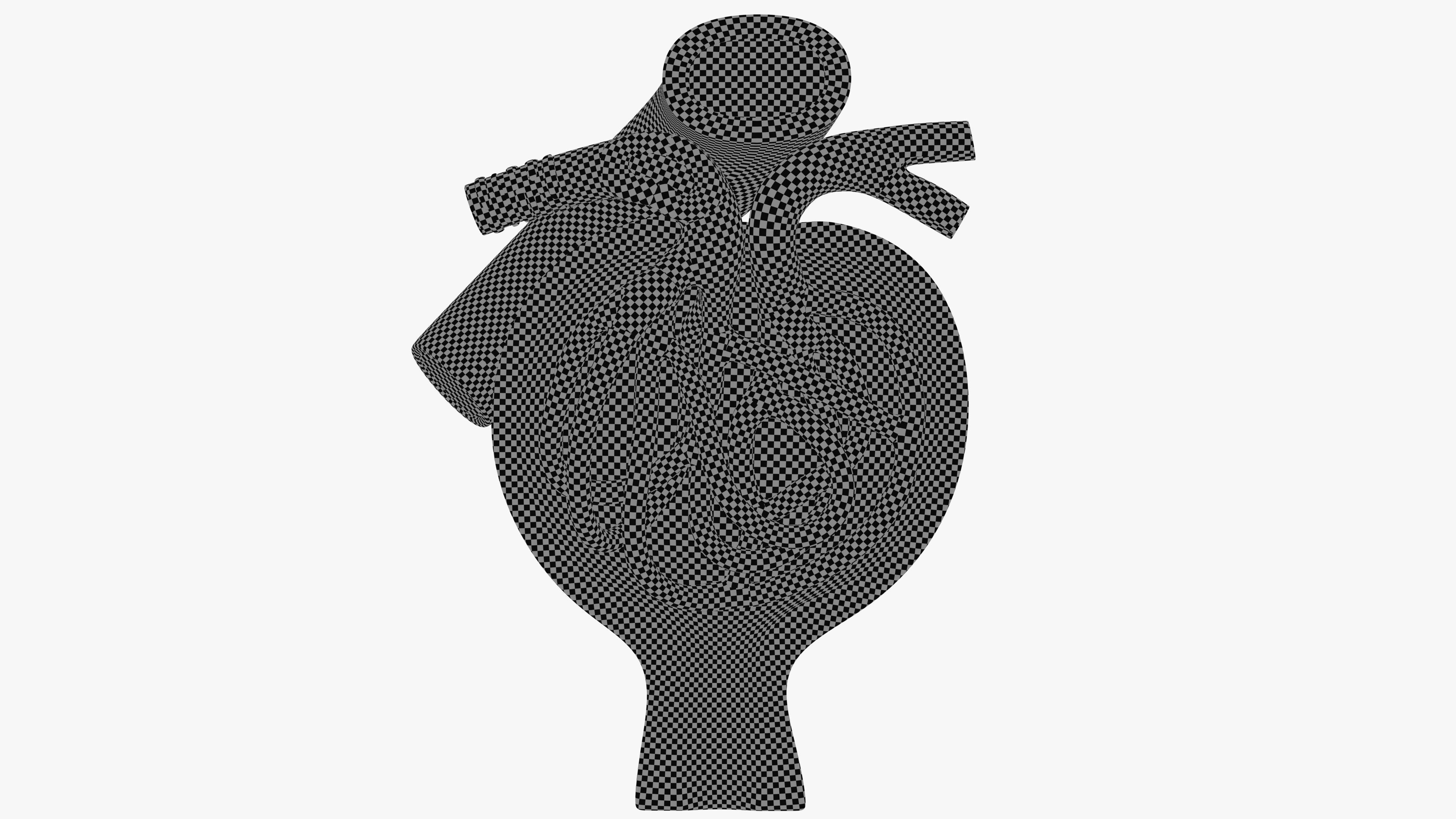 Professional human glomerular bowmans capsule capsula glomeruli 3D model_6