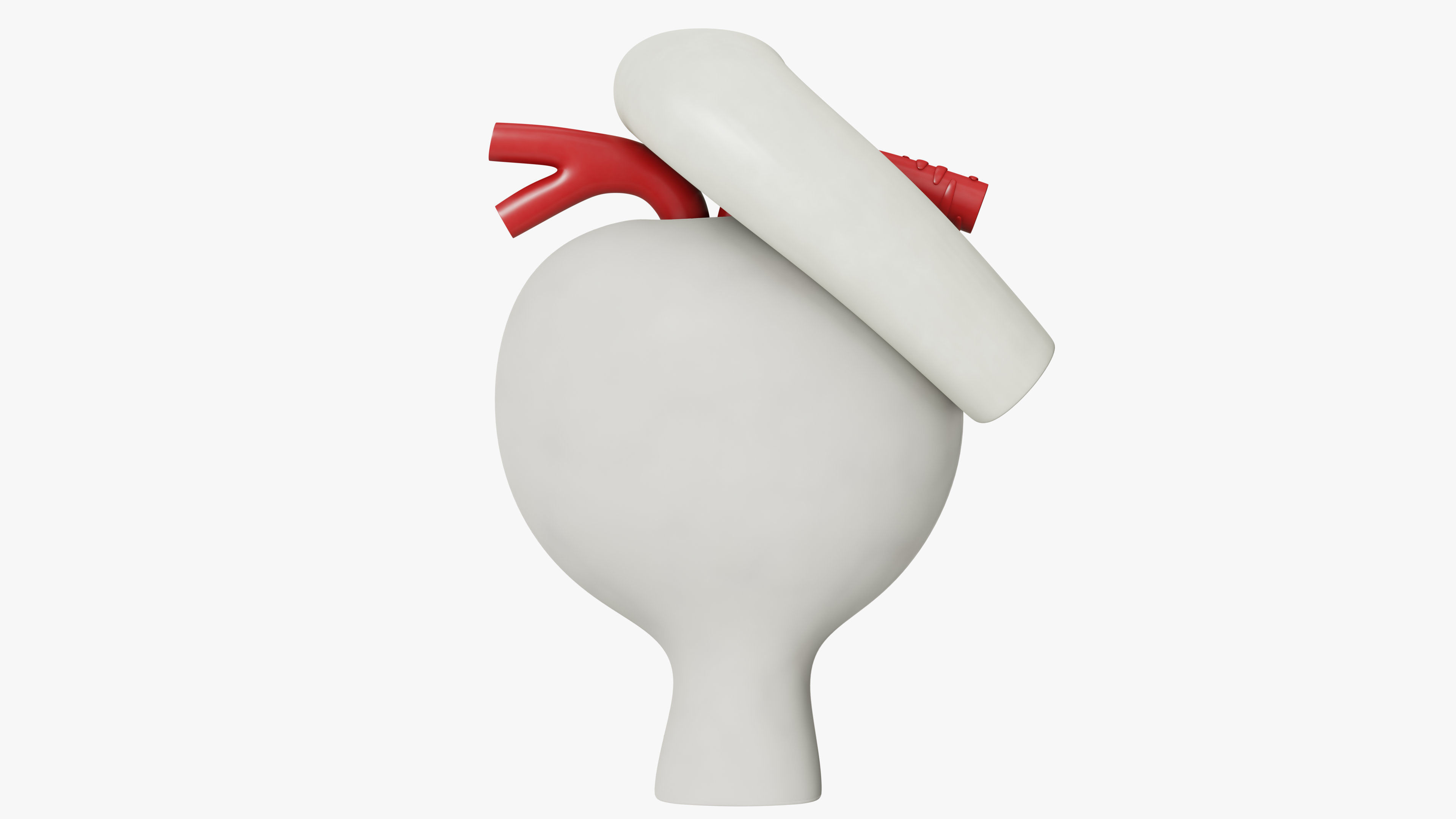 Professional human glomerular bowmans capsule capsula glomeruli 3D model_8