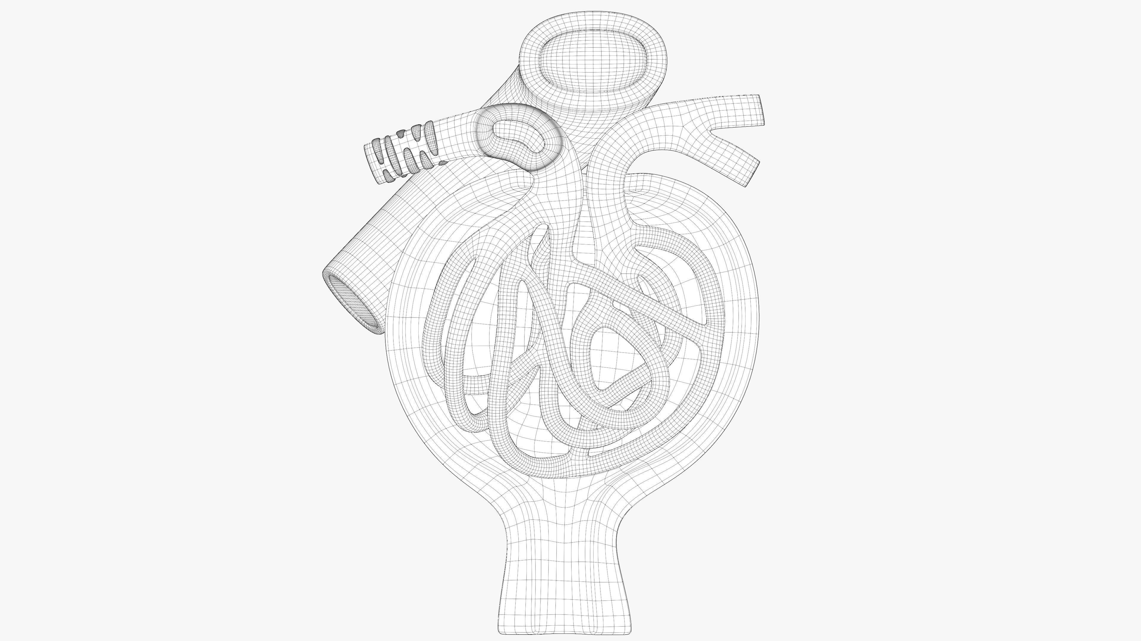Professional human glomerular bowmans capsule capsula glomeruli 3D model_5