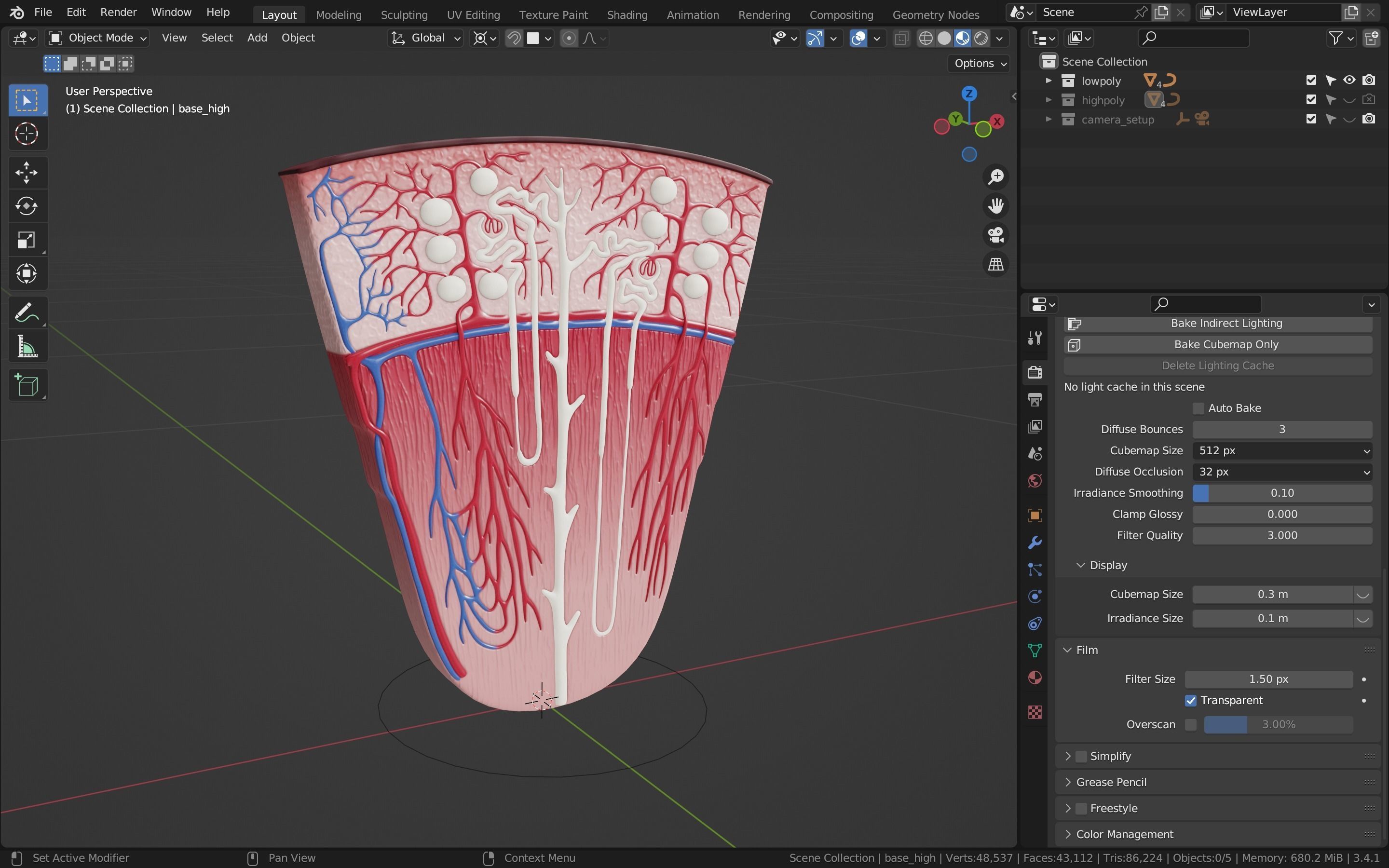 Professional human kidney nephron 3D model 3D model_8