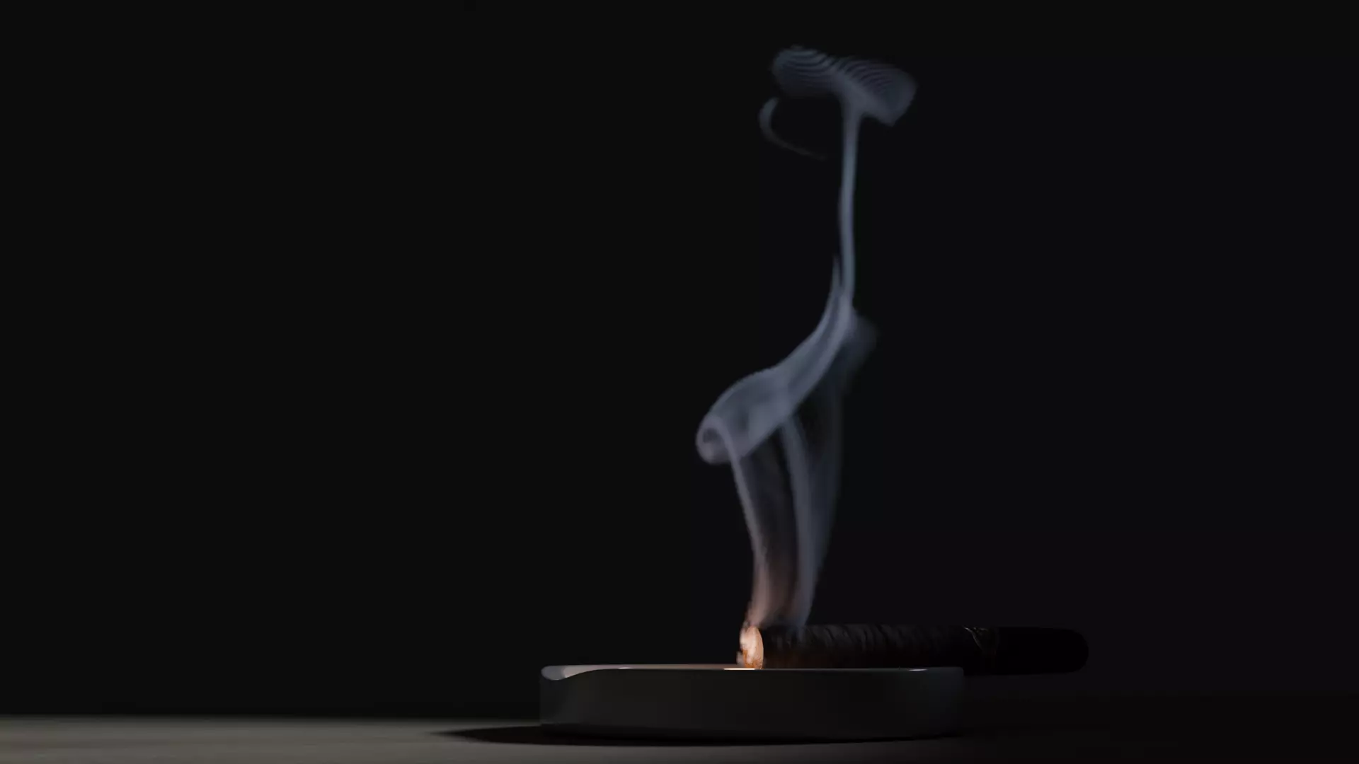 Smoke cigarette -  vdb  3D model_0