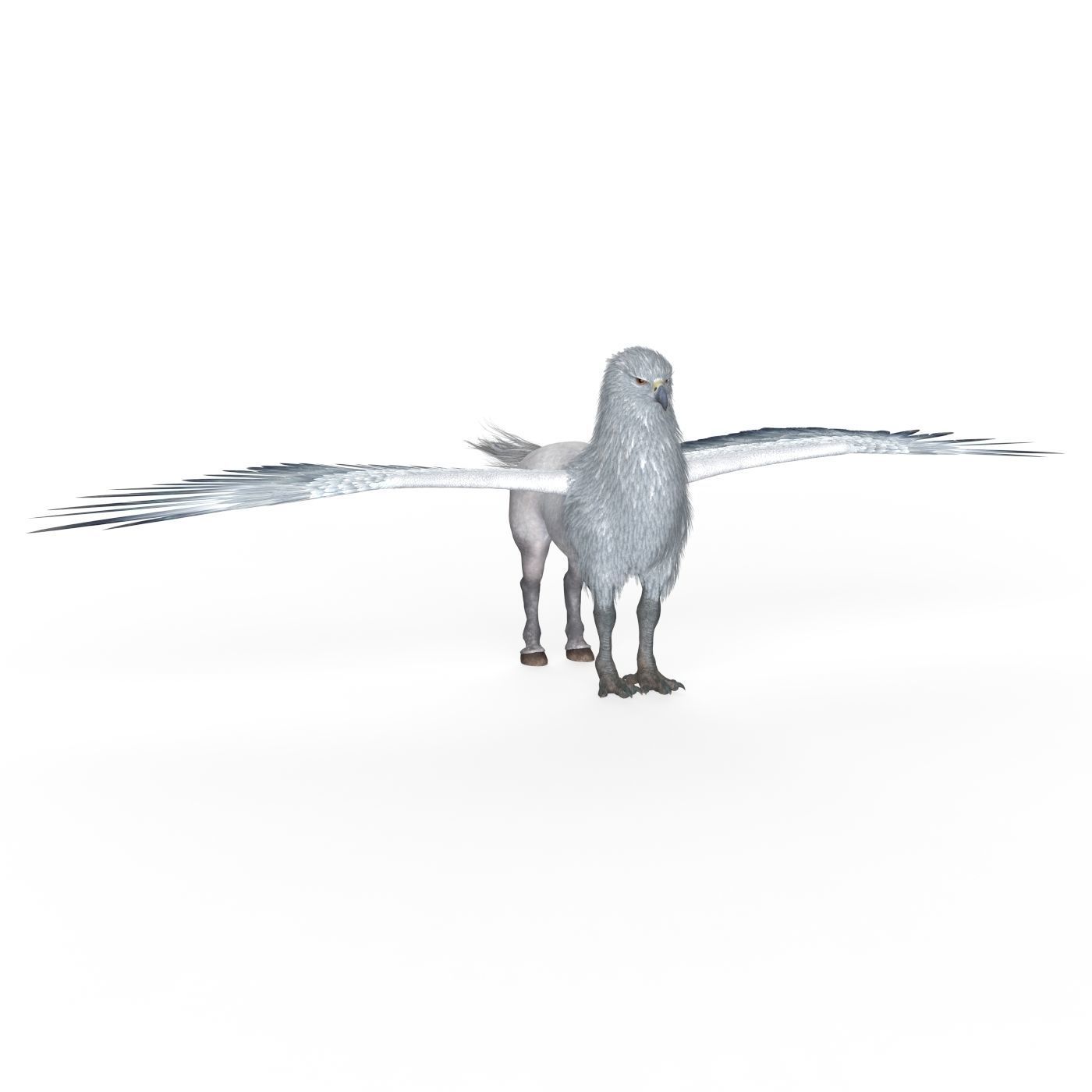 Fantasy Hippogriff  Low-poly 3D model_8