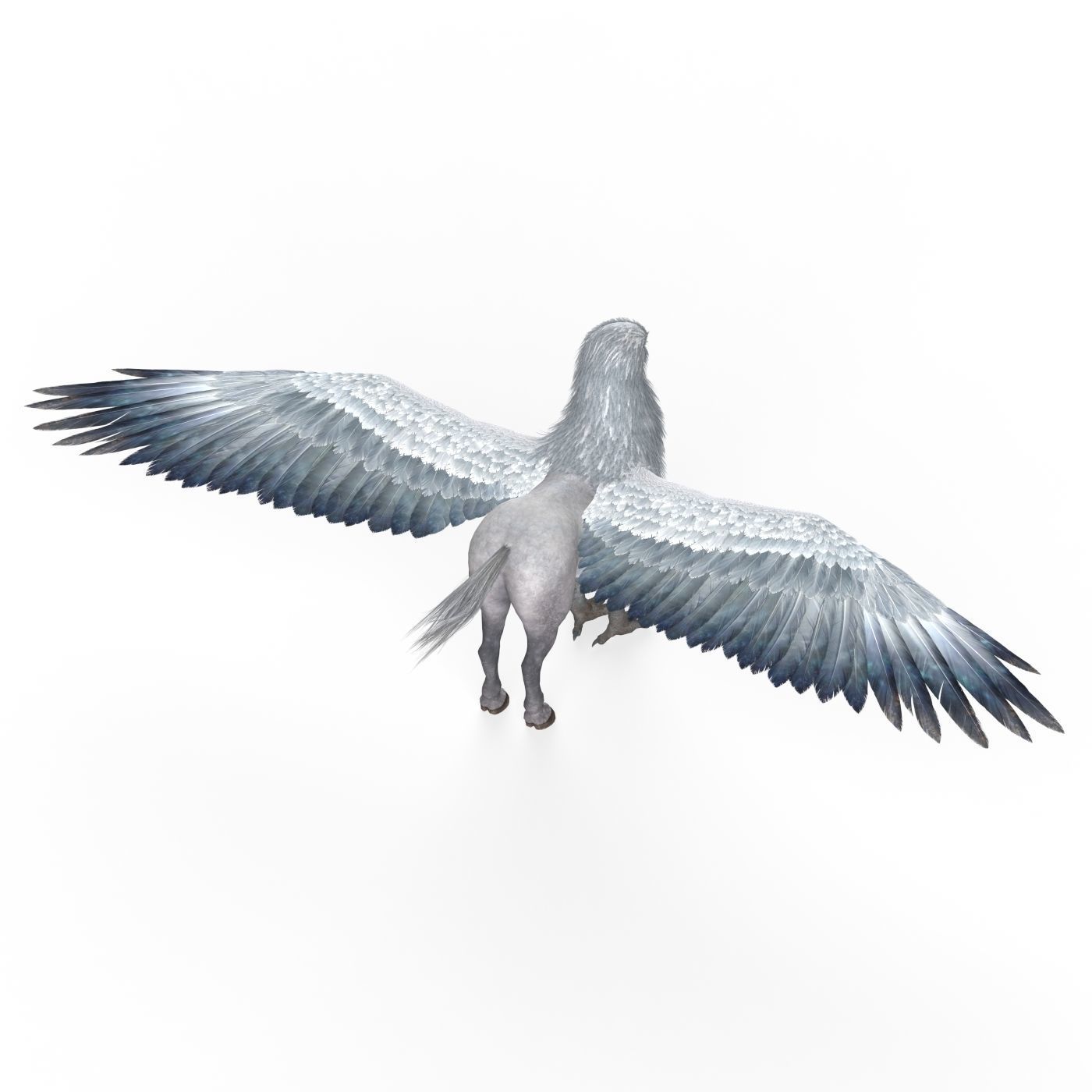 Fantasy Hippogriff  Low-poly 3D model_5
