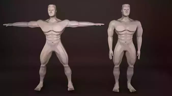 Human Body  Models