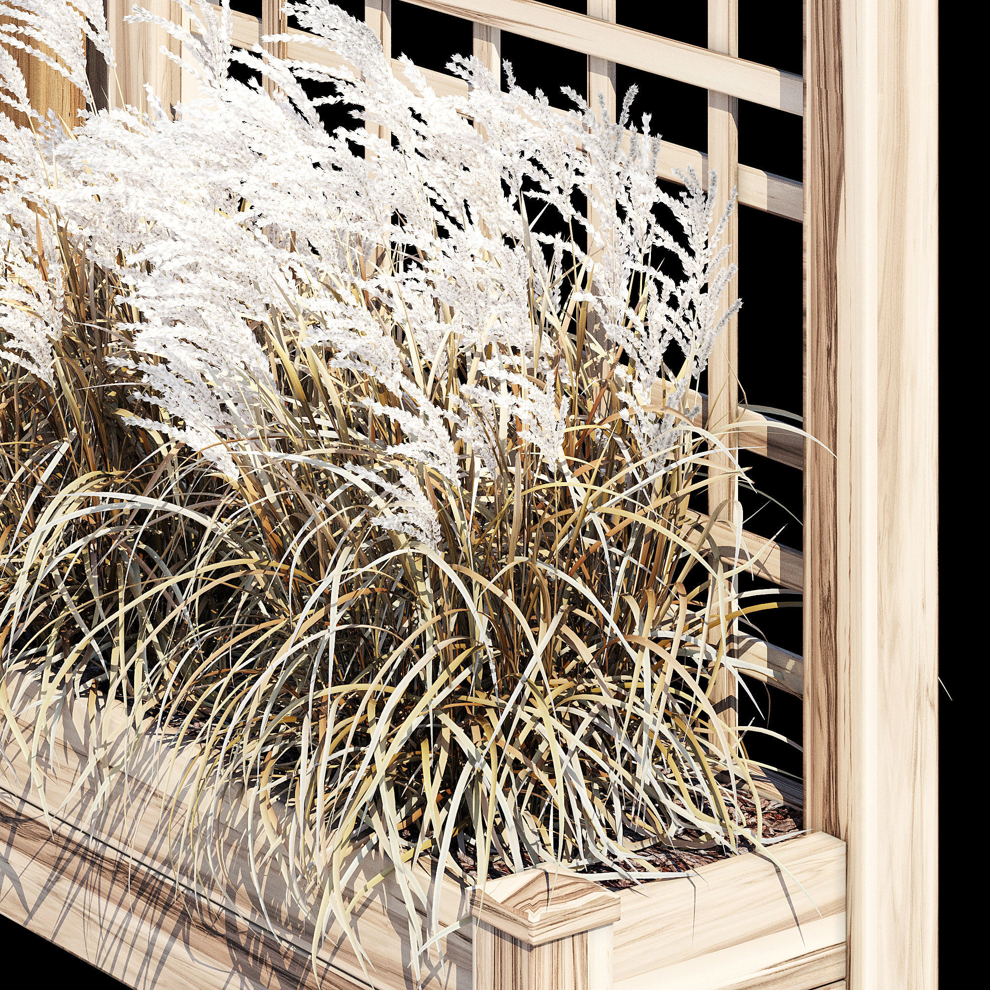 Myrtlene myroslava 3D model_12