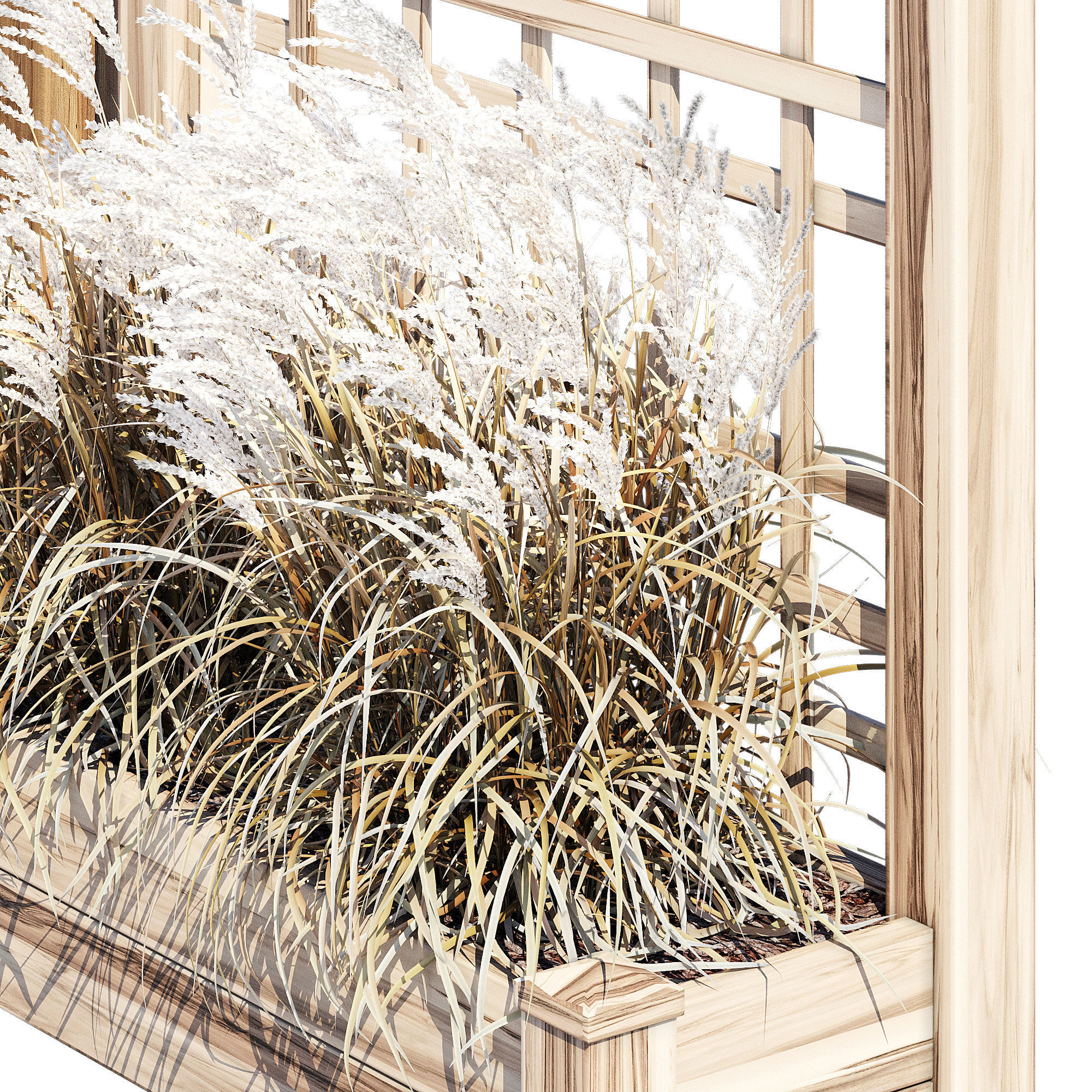 Myrtlene myroslava 3D model_5