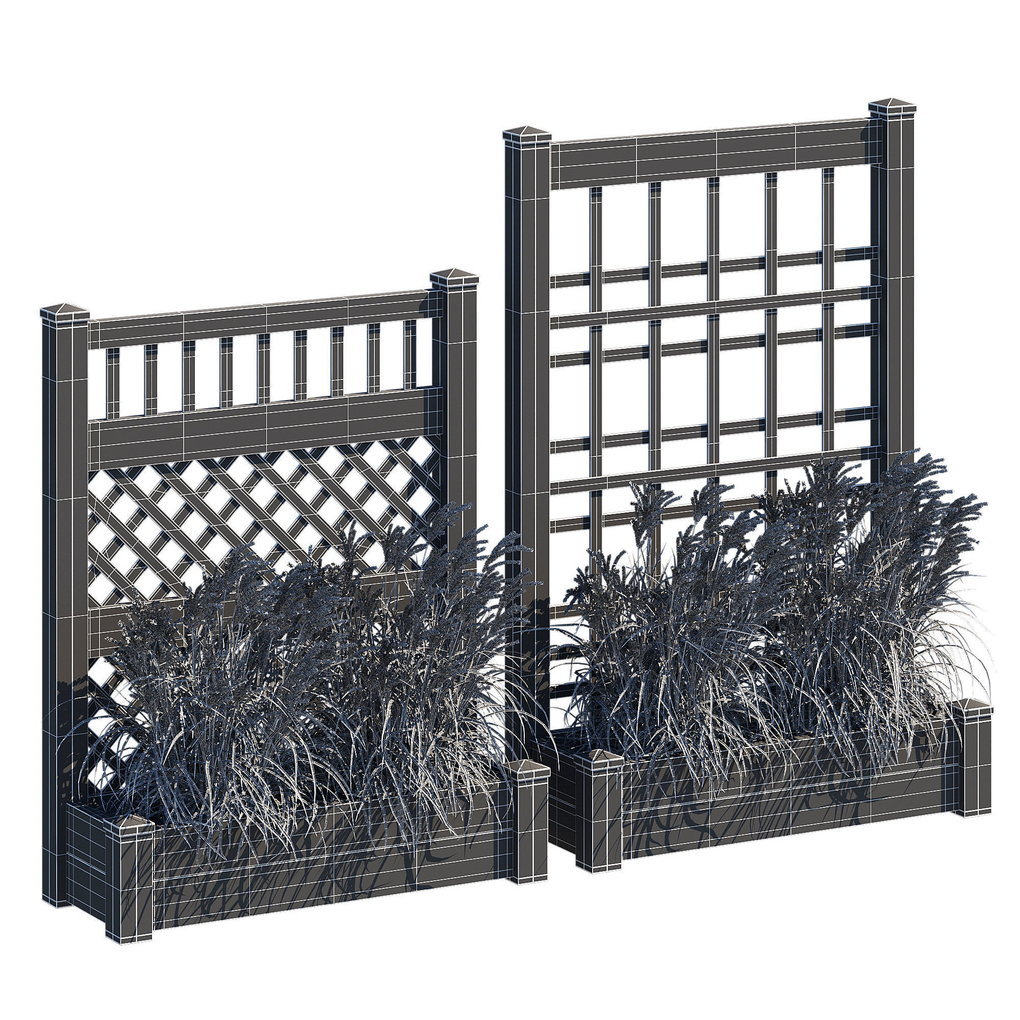 Myrtlene myroslava 3D model_6