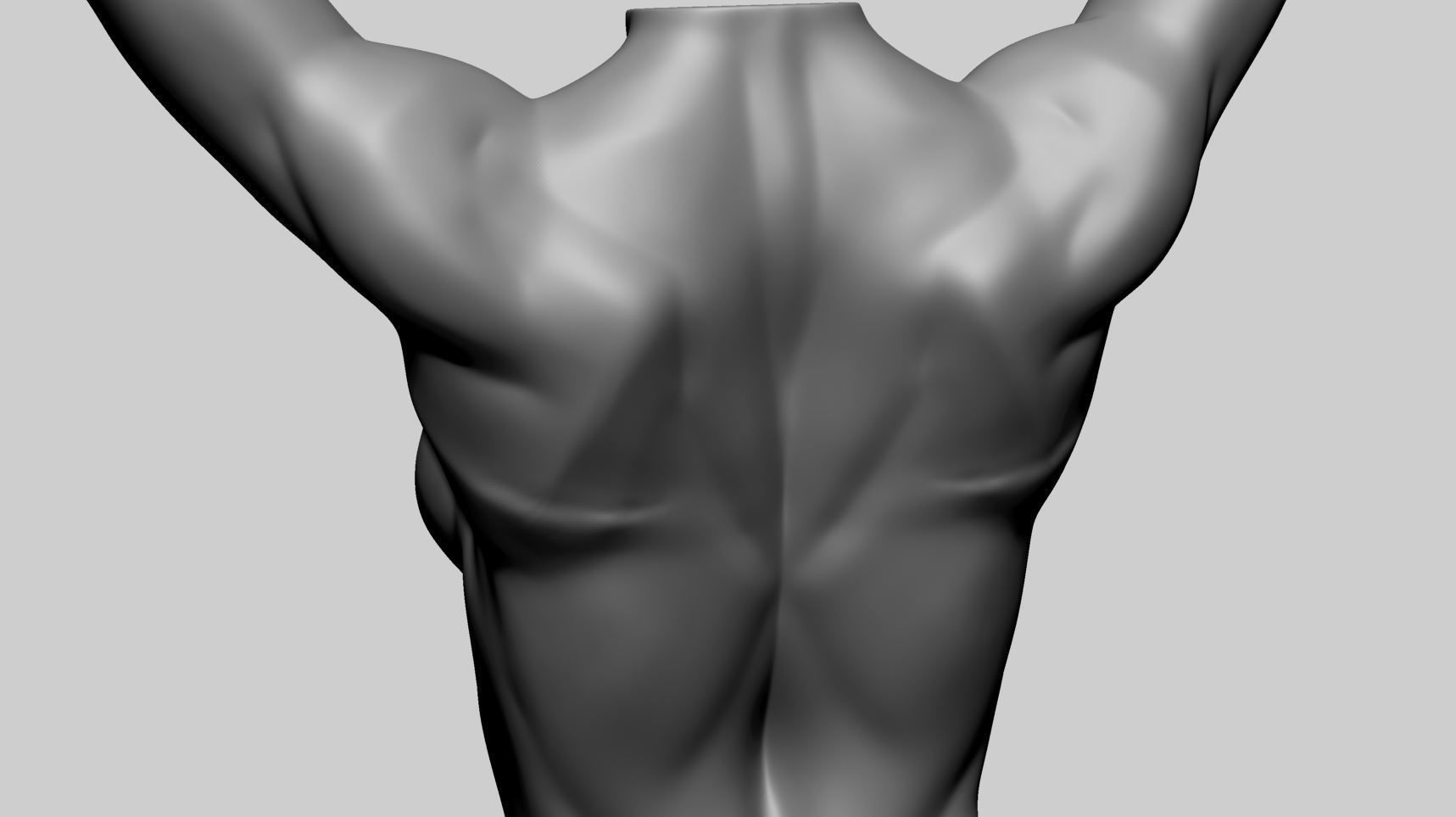 Base Female Torso 3D model_11