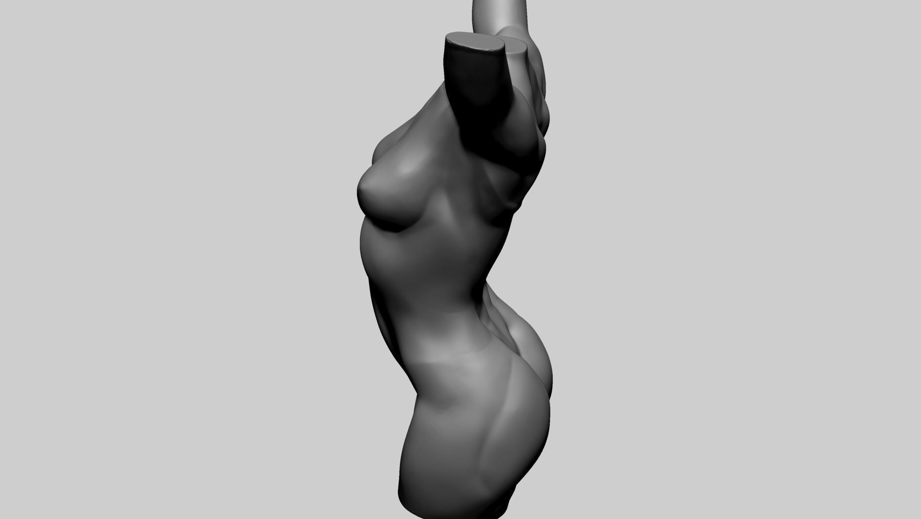 Base Female Torso 3D model_7