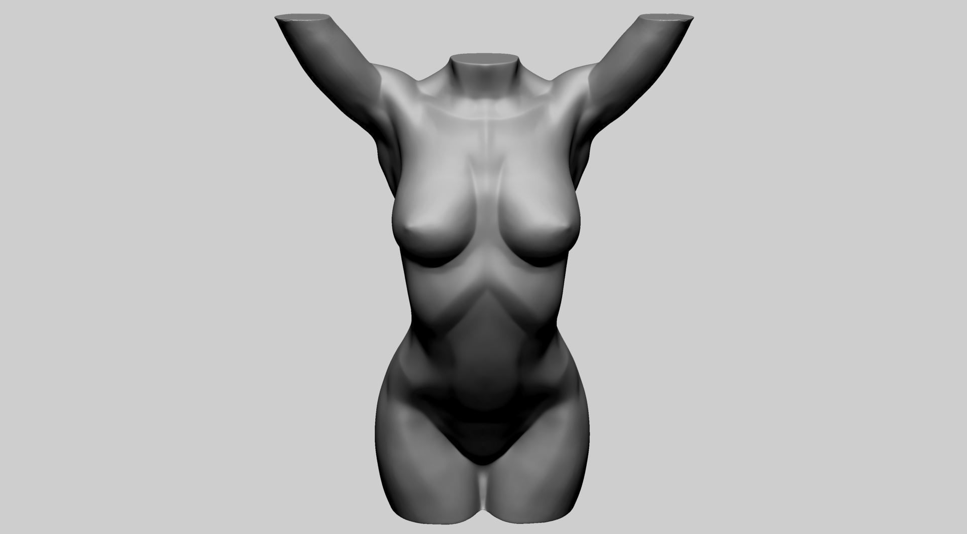 Base Female Torso 3D model_3