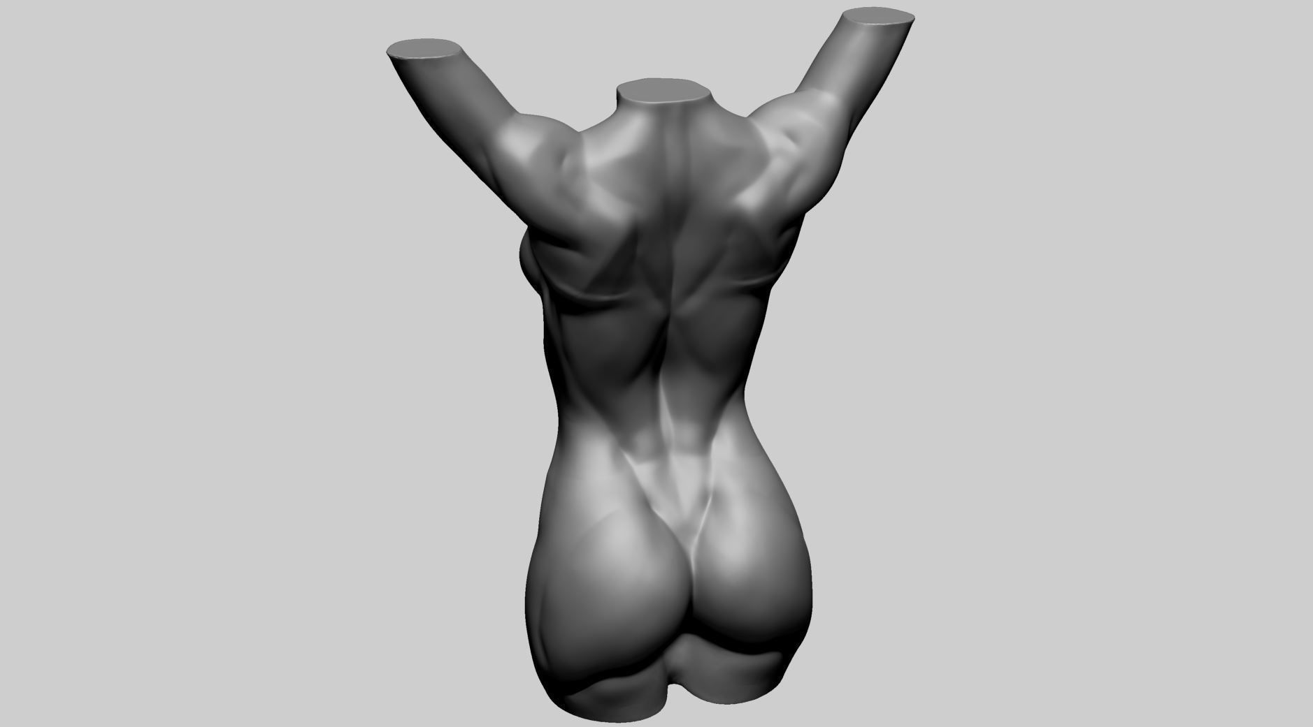 Base Female Torso 3D model_6