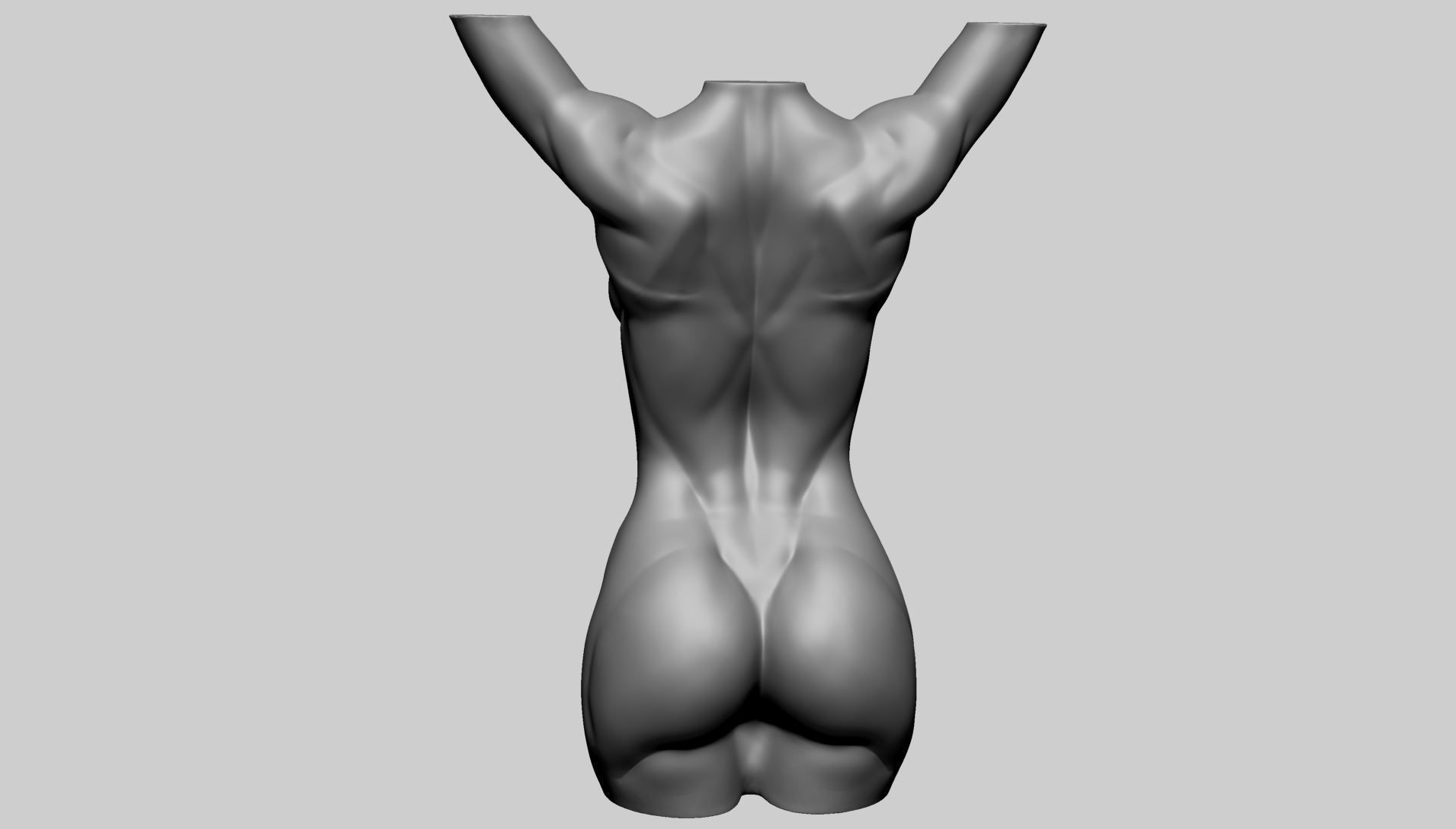 Base Female Torso 3D model_2