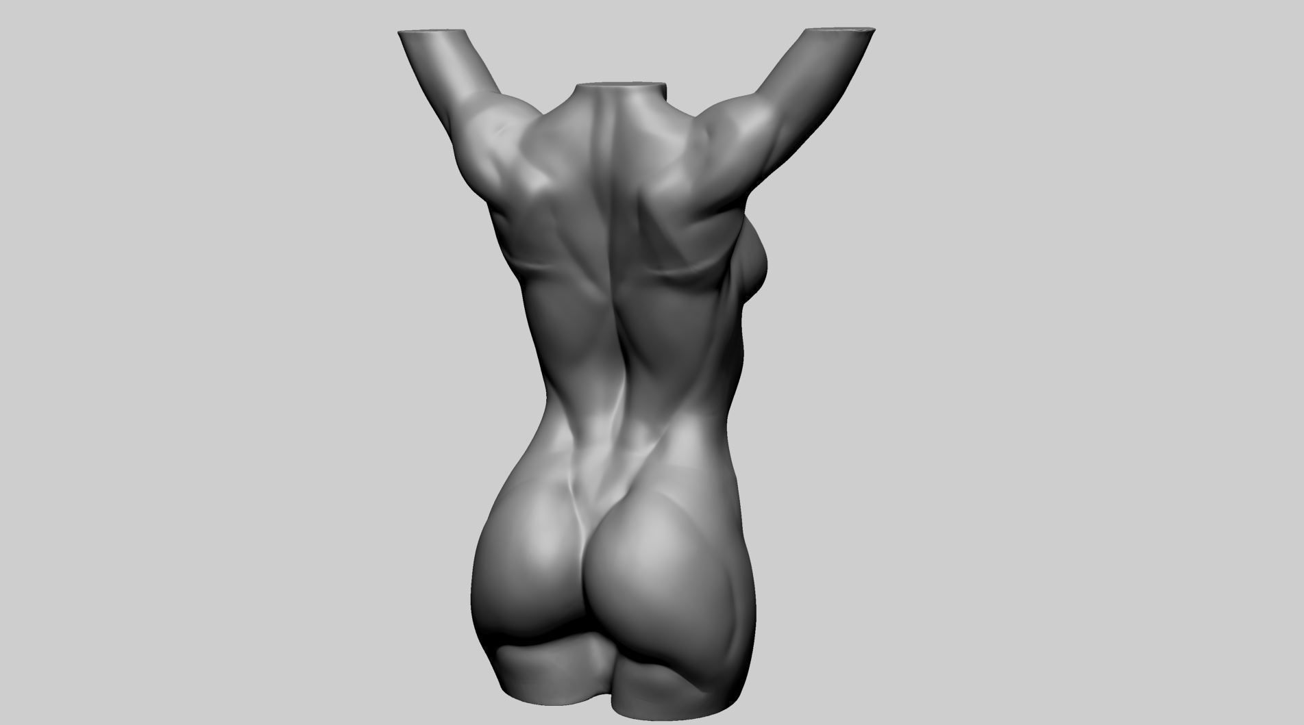 Base Female Torso 3D model_5