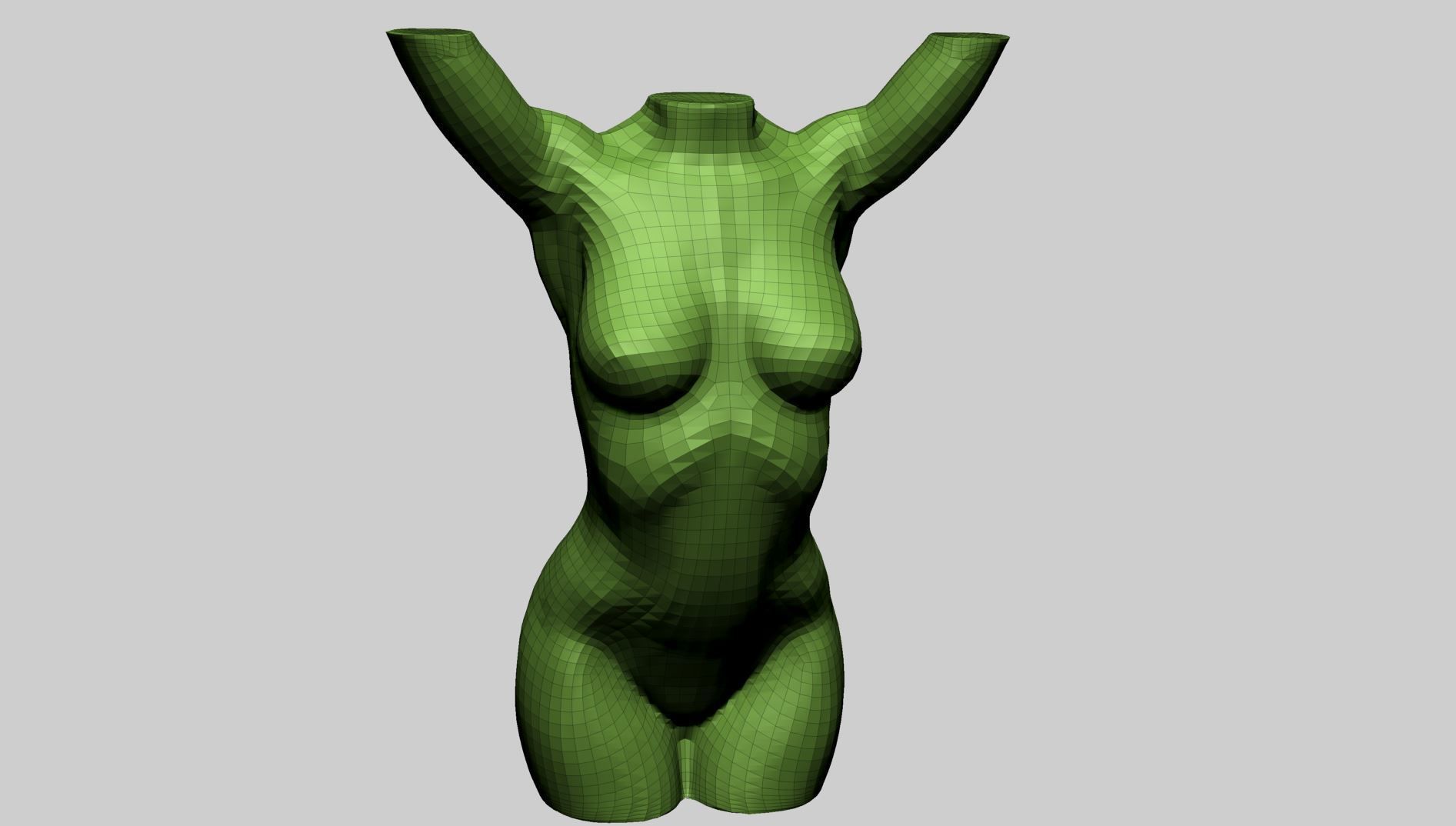 Base Female Torso 3D model_9