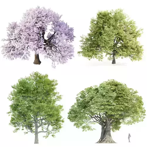 Collection of trees 3D Model vol 9 