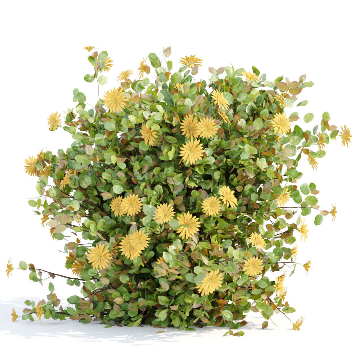 60 Bush models collection vol 10 3D Model _89