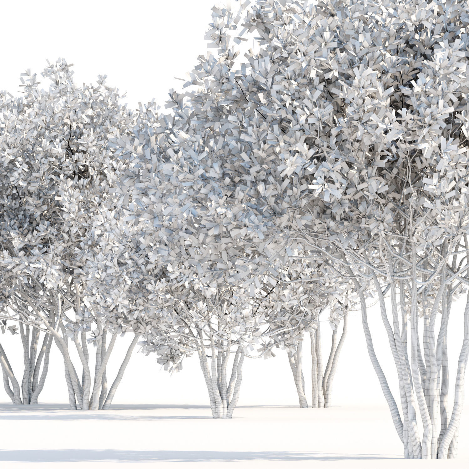 60 Bush models collection vol 10 3D Model _82