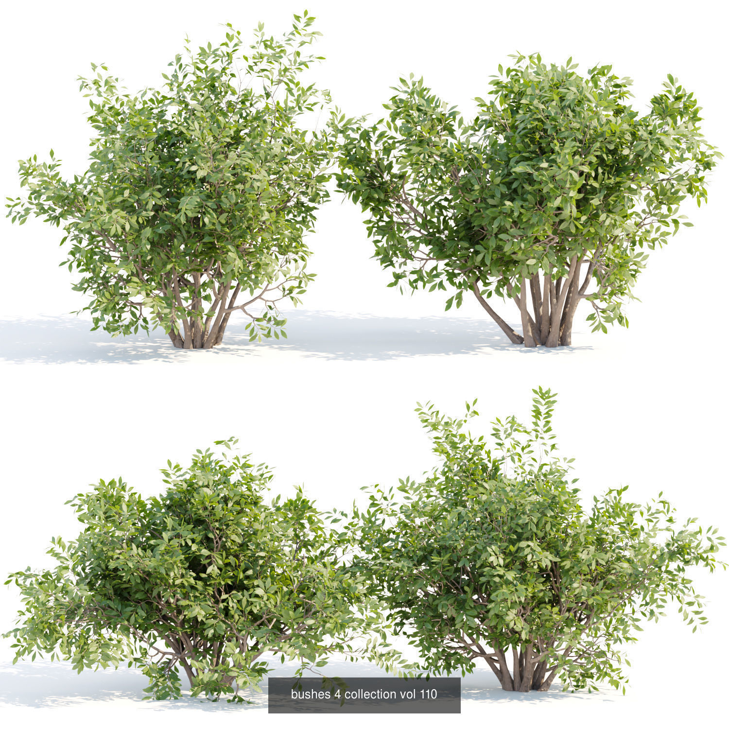 60 Bush models collection vol 10 3D Model _49