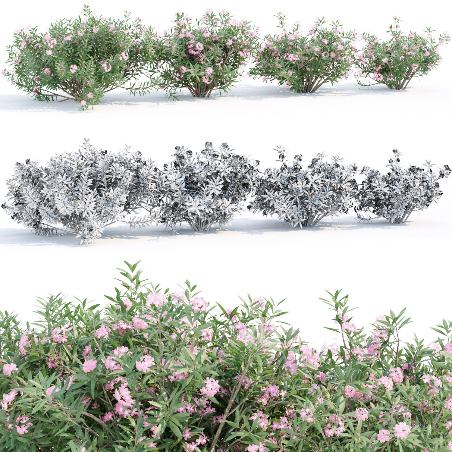 60 Bush models collection vol 10 3D Model _83