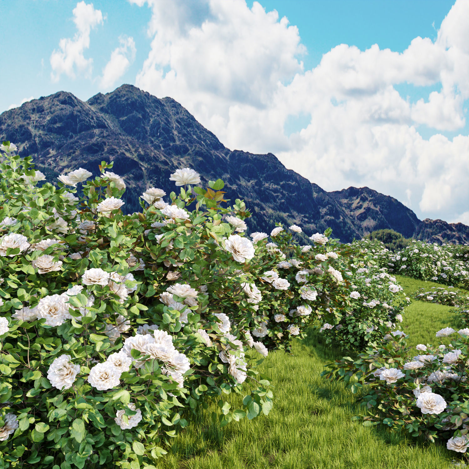 60 Bush models collection vol 10 3D Model _9