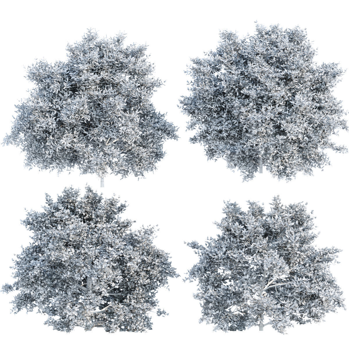 60 Bush models collection vol 10 3D Model _84