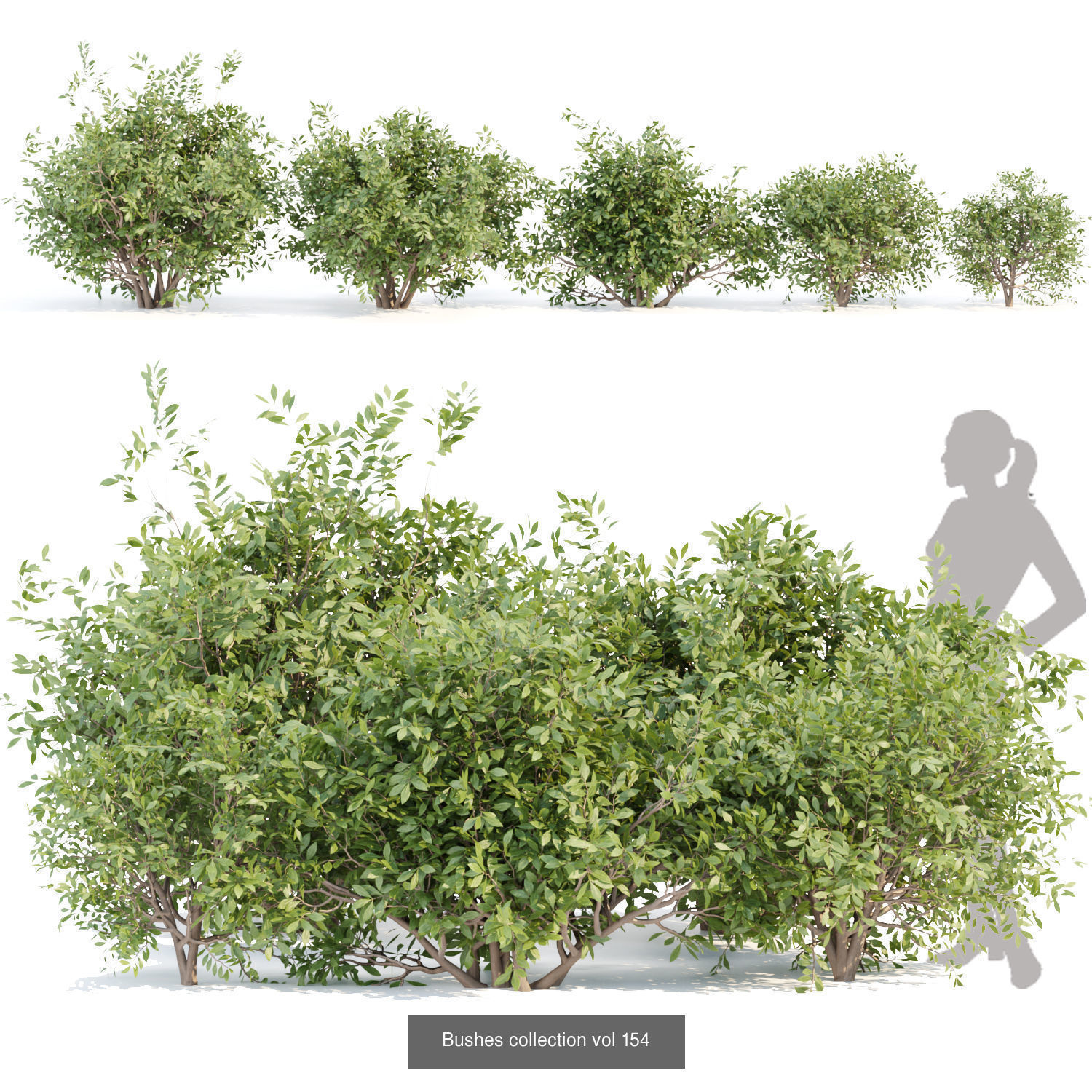 60 Bush models collection vol 10 3D Model _41