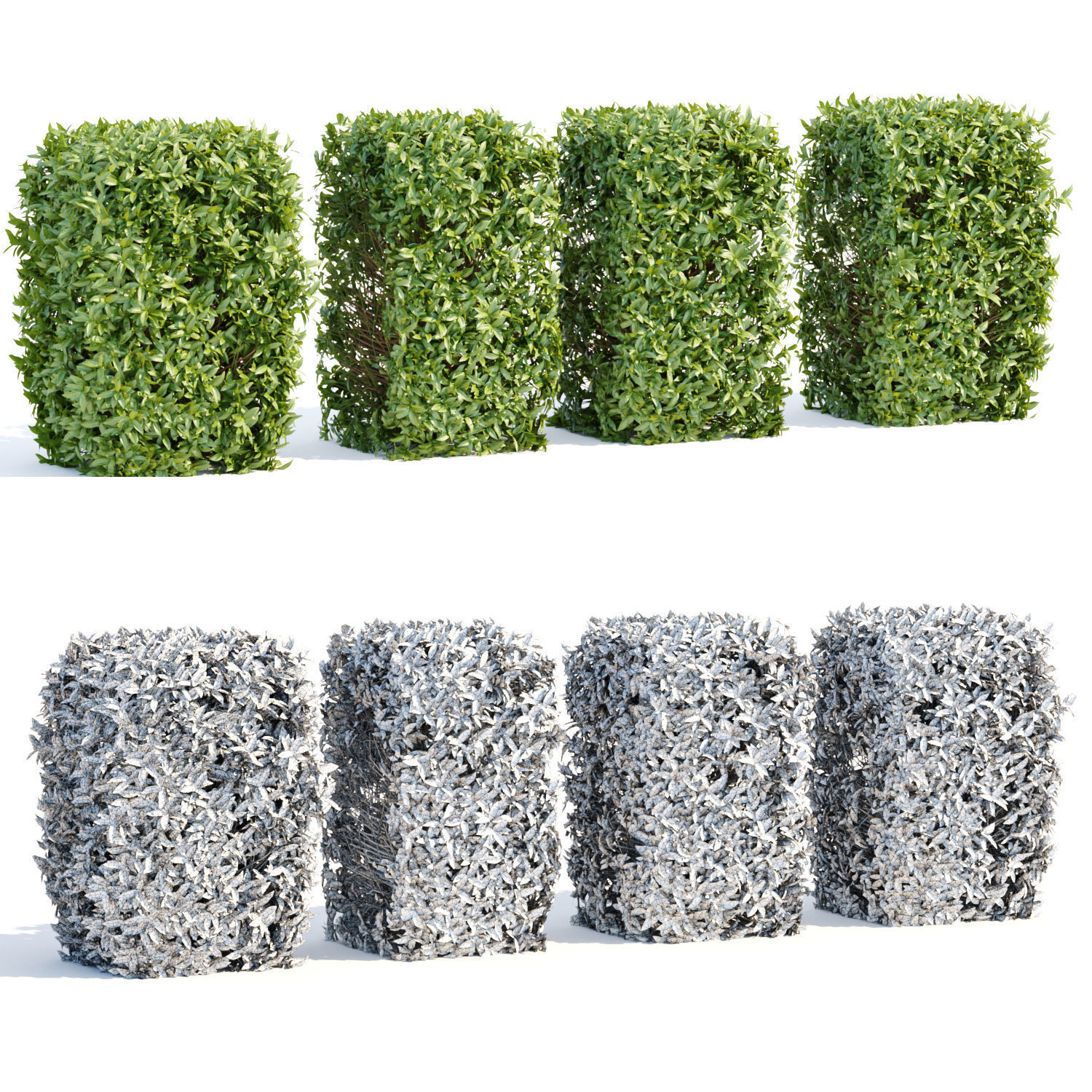 60 Bush models collection vol 10 3D Model _2