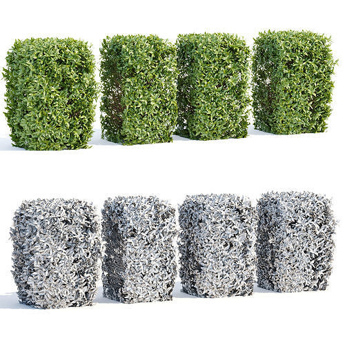 60 Bush models collection vol 10 3D Model 3D Model Pack 3