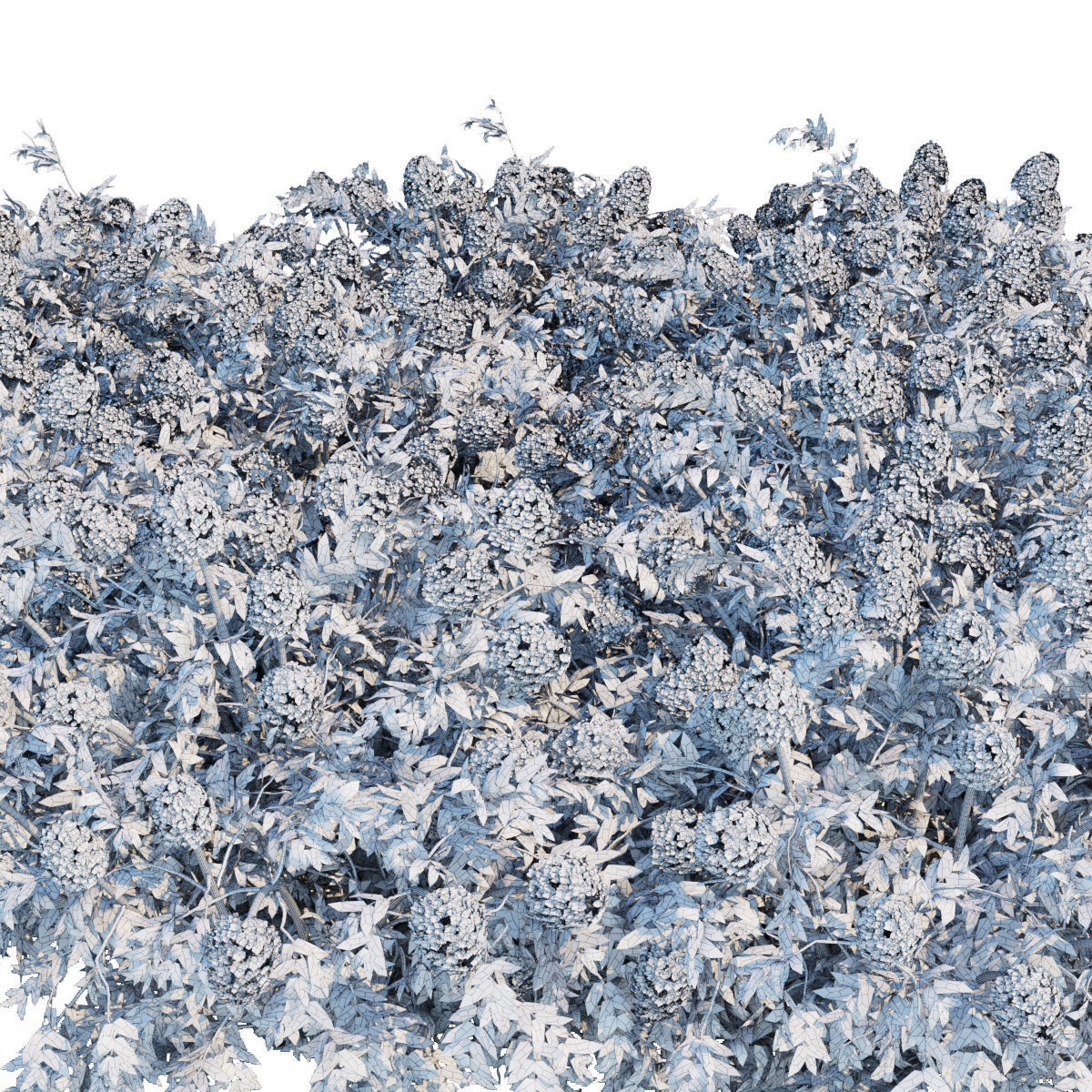 60 Bush models collection vol 10 3D Model _79