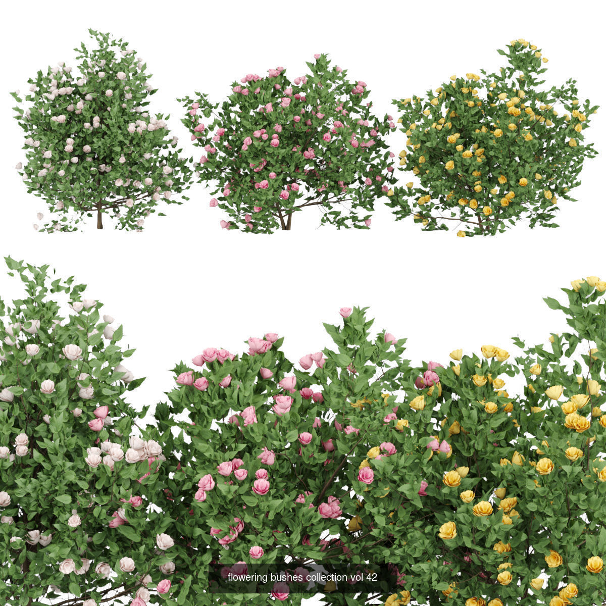 60 Bush models collection vol 10 3D Model _48