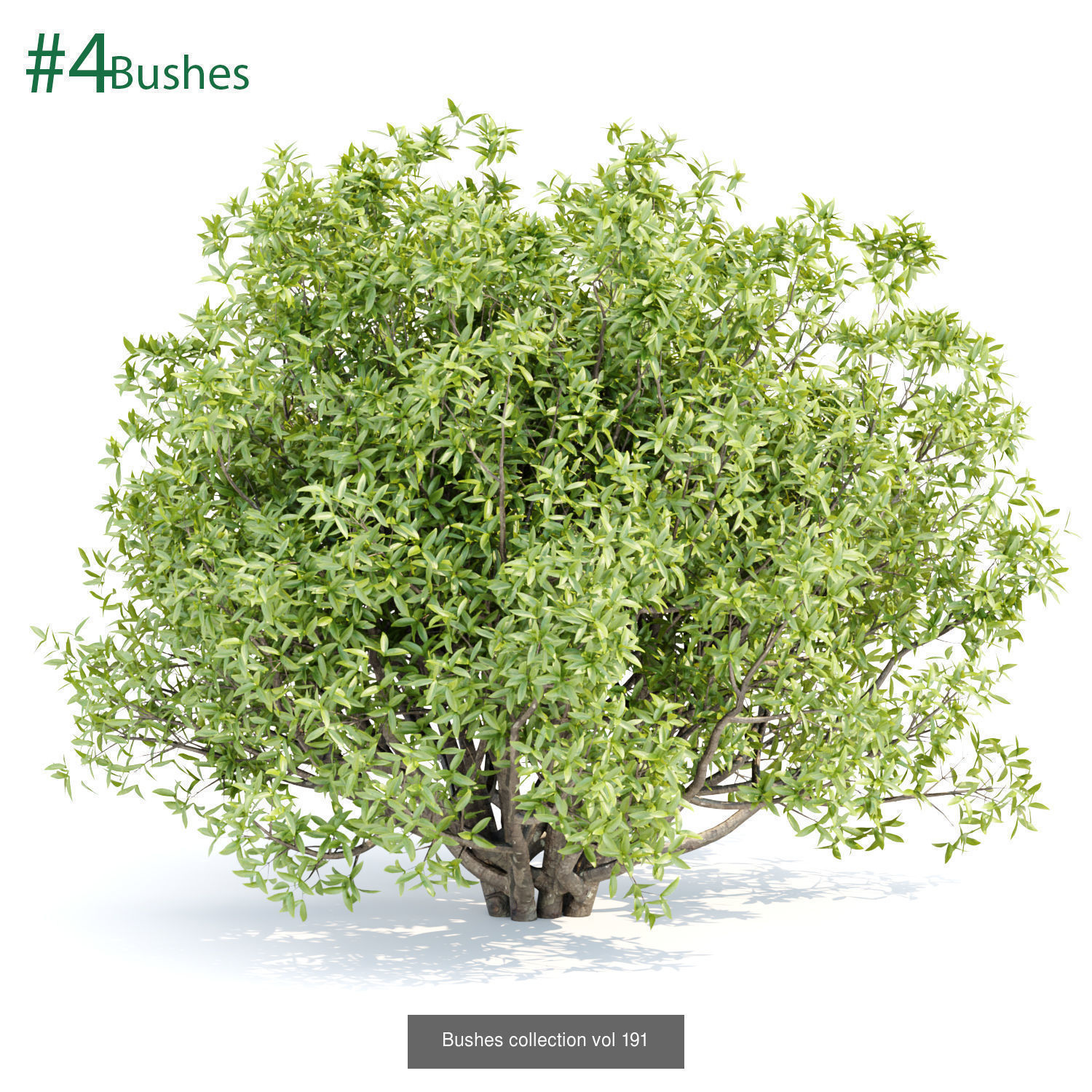 60 Bush models collection vol 10 3D Model _23