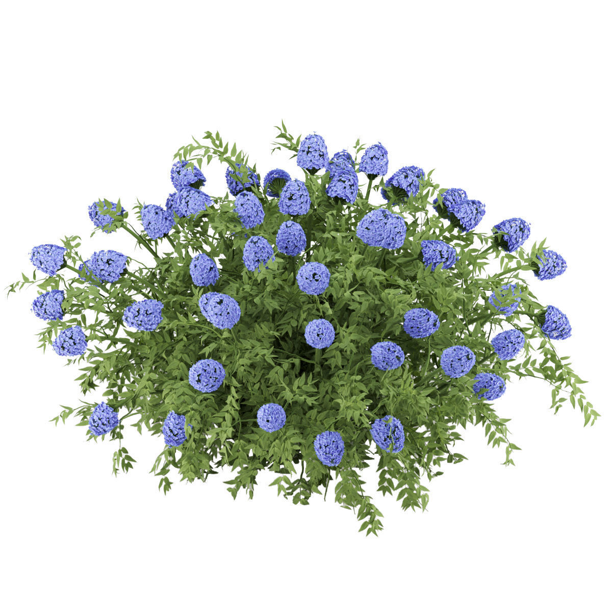 60 Bush models collection vol 10 3D Model _20