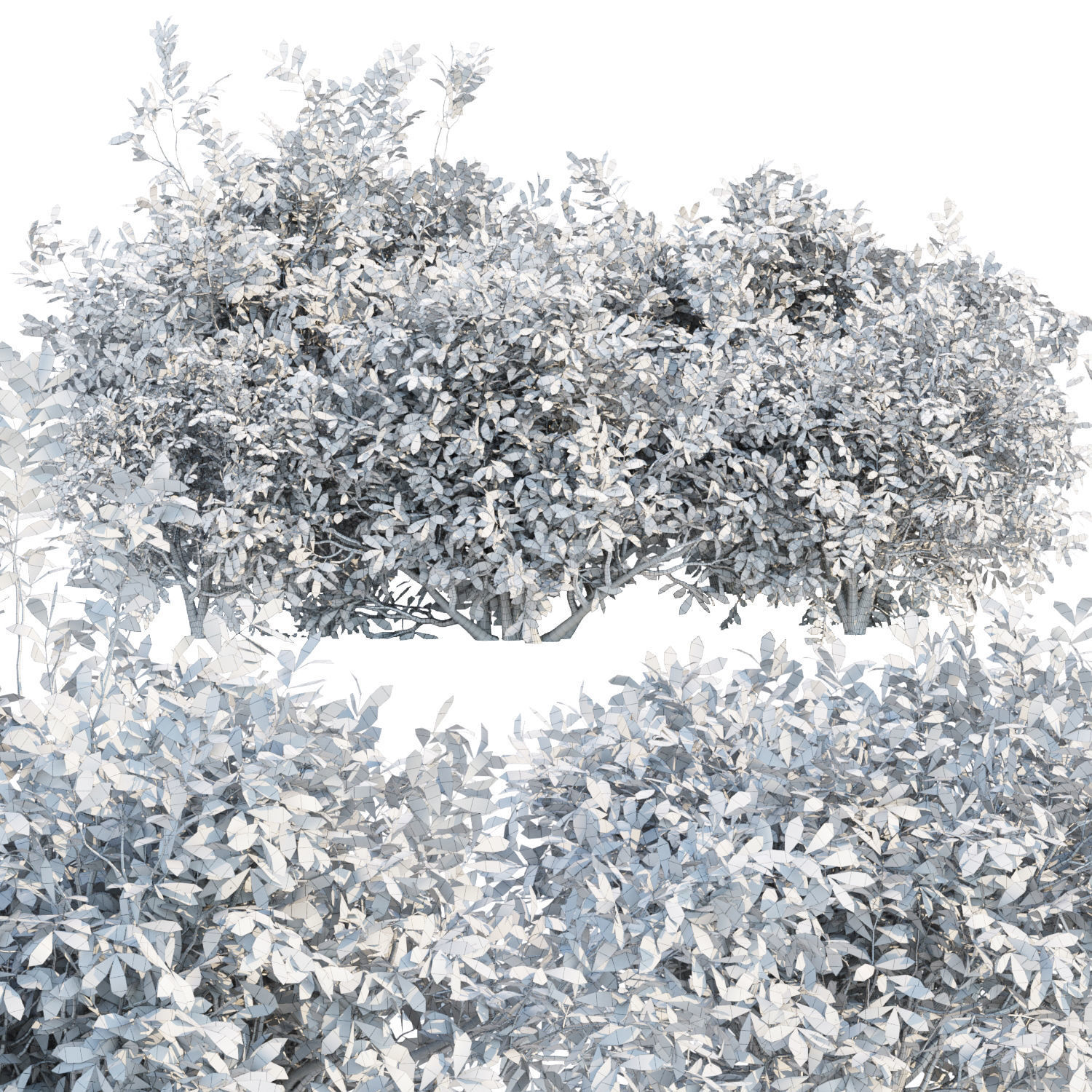 60 Bush models collection vol 10 3D Model _77