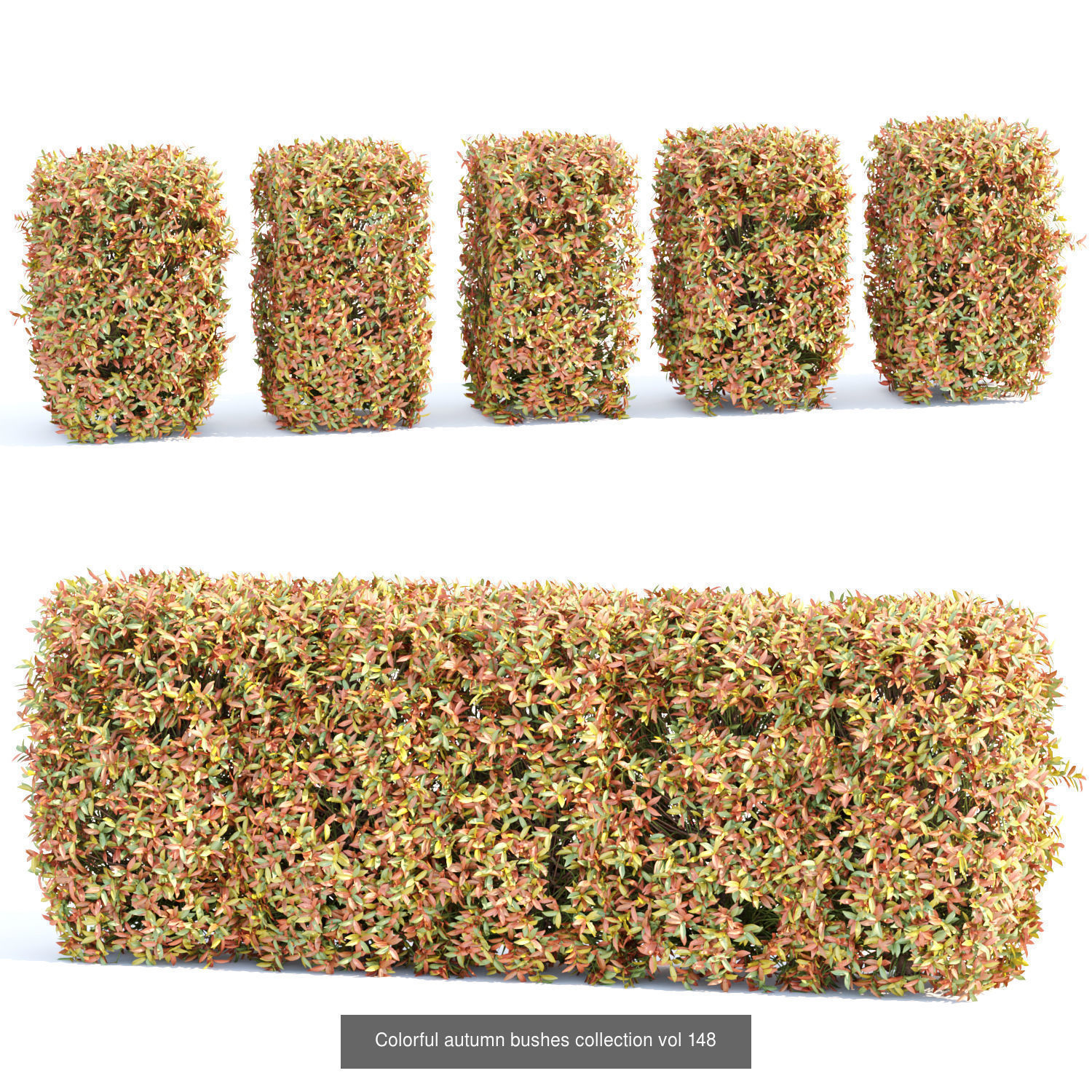 60 Bush models collection vol 10 3D Model _28