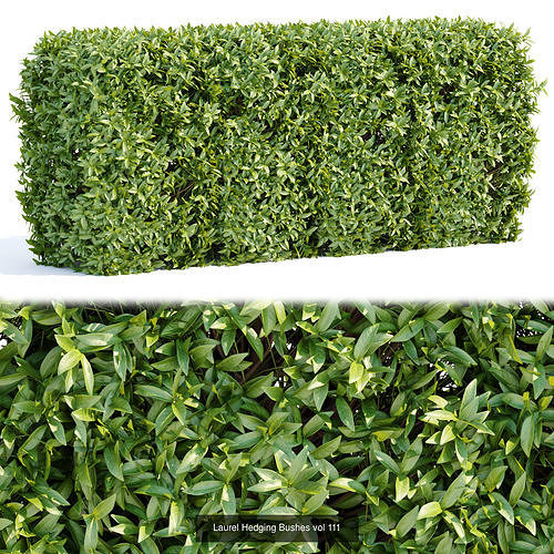 60 Bush models collection vol 10 3D Model 3D Model Pack 2