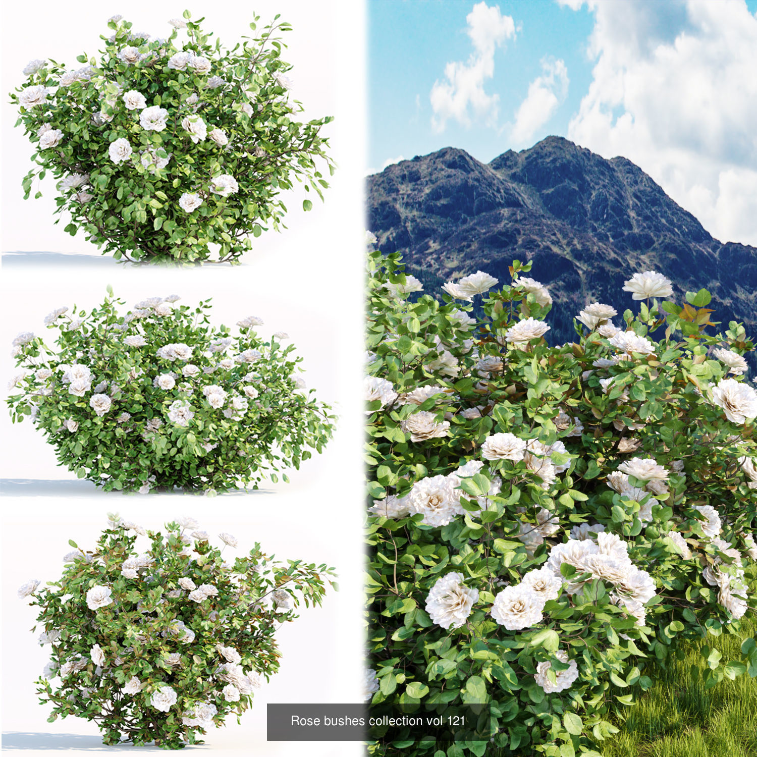 60 Bush models collection vol 10 3D Model _8