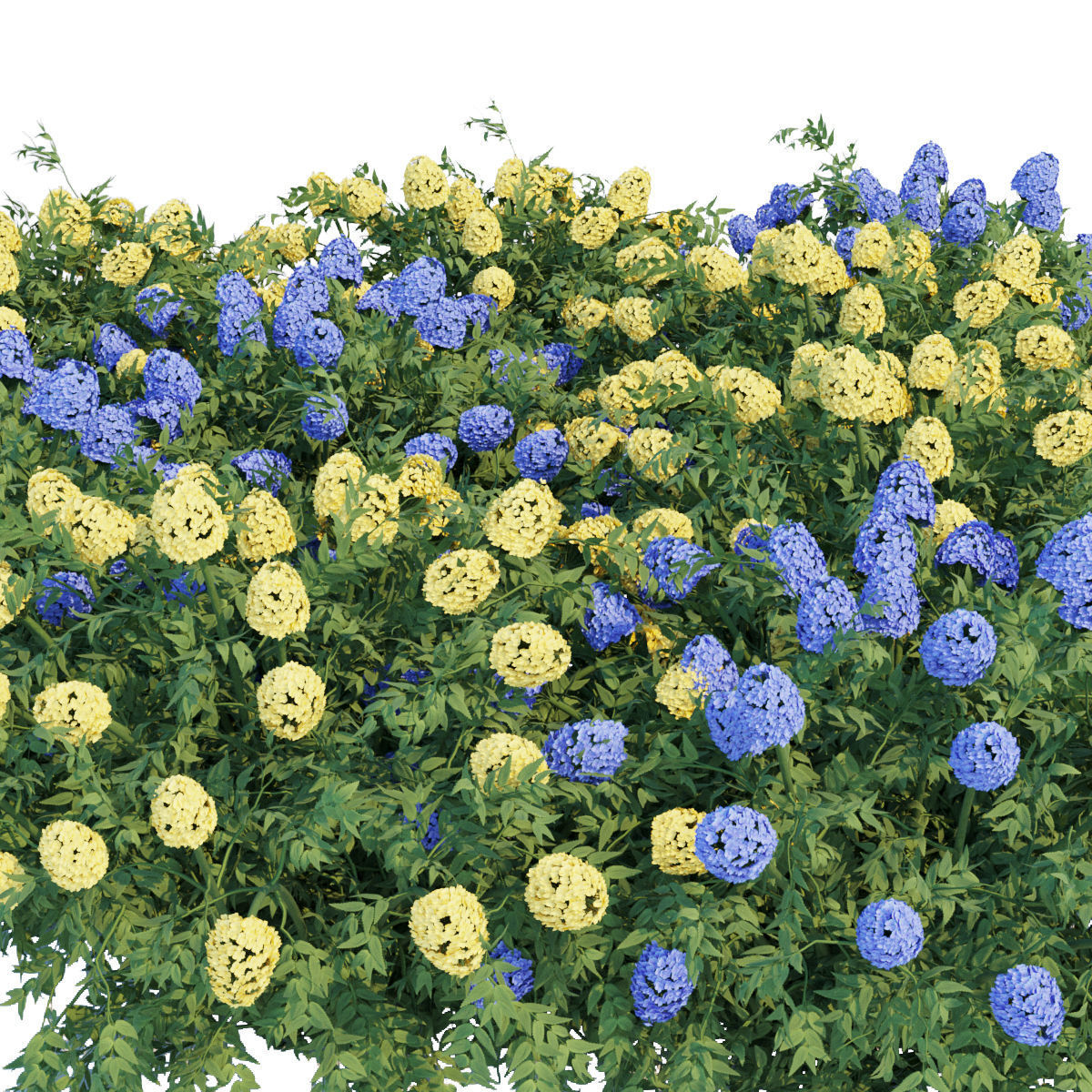 60 Bush models collection vol 10 3D Model _22