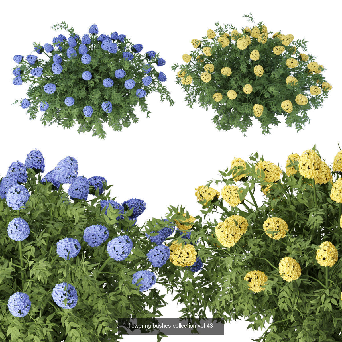 60 Bush models collection vol 10 3D Model _19